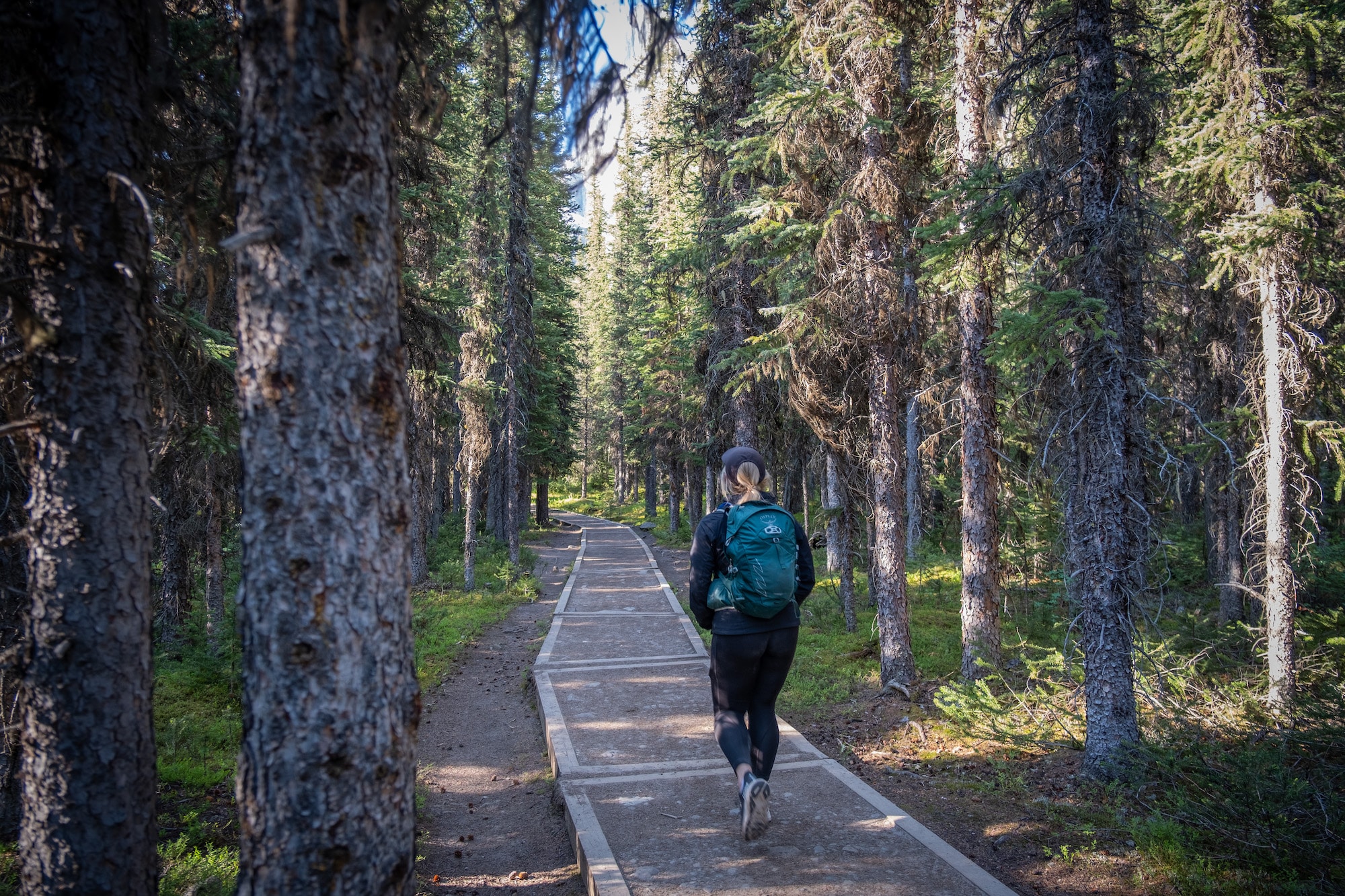 Trail to Consolation Lakes