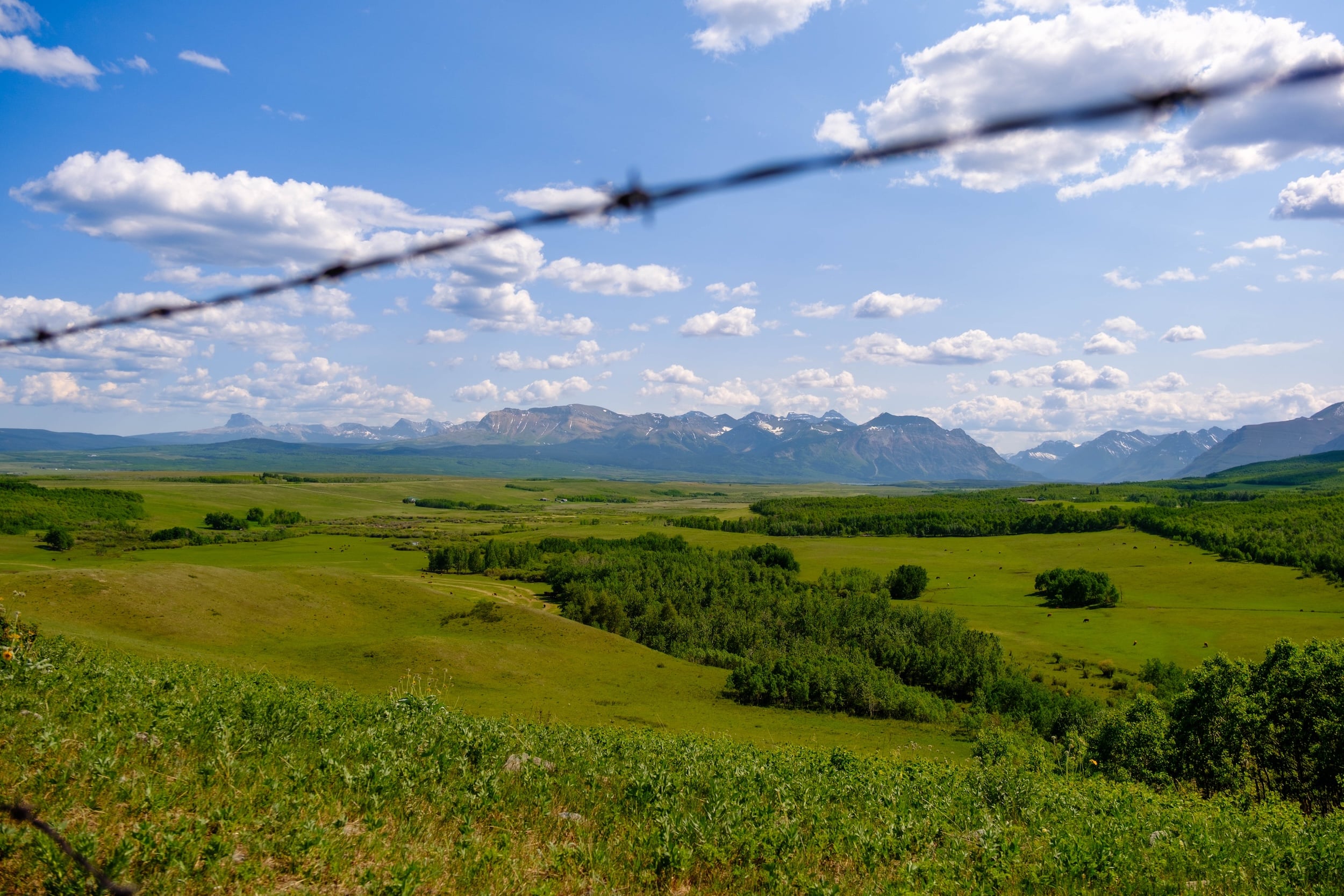Cowboy Country