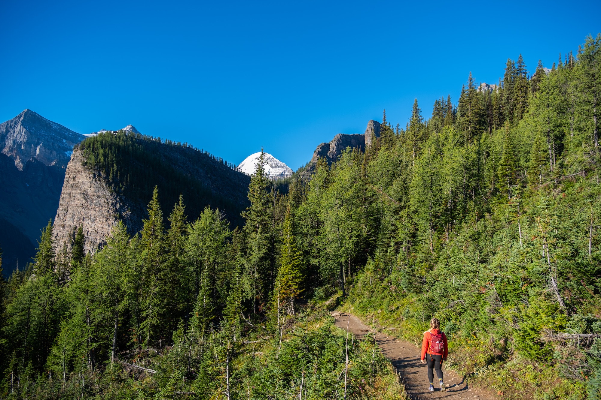 back to lake agnes on the lake louise circui