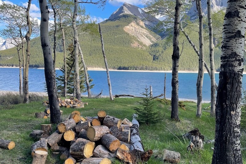 Firewood provided by Parks Canada at Aylmer Junction Campground