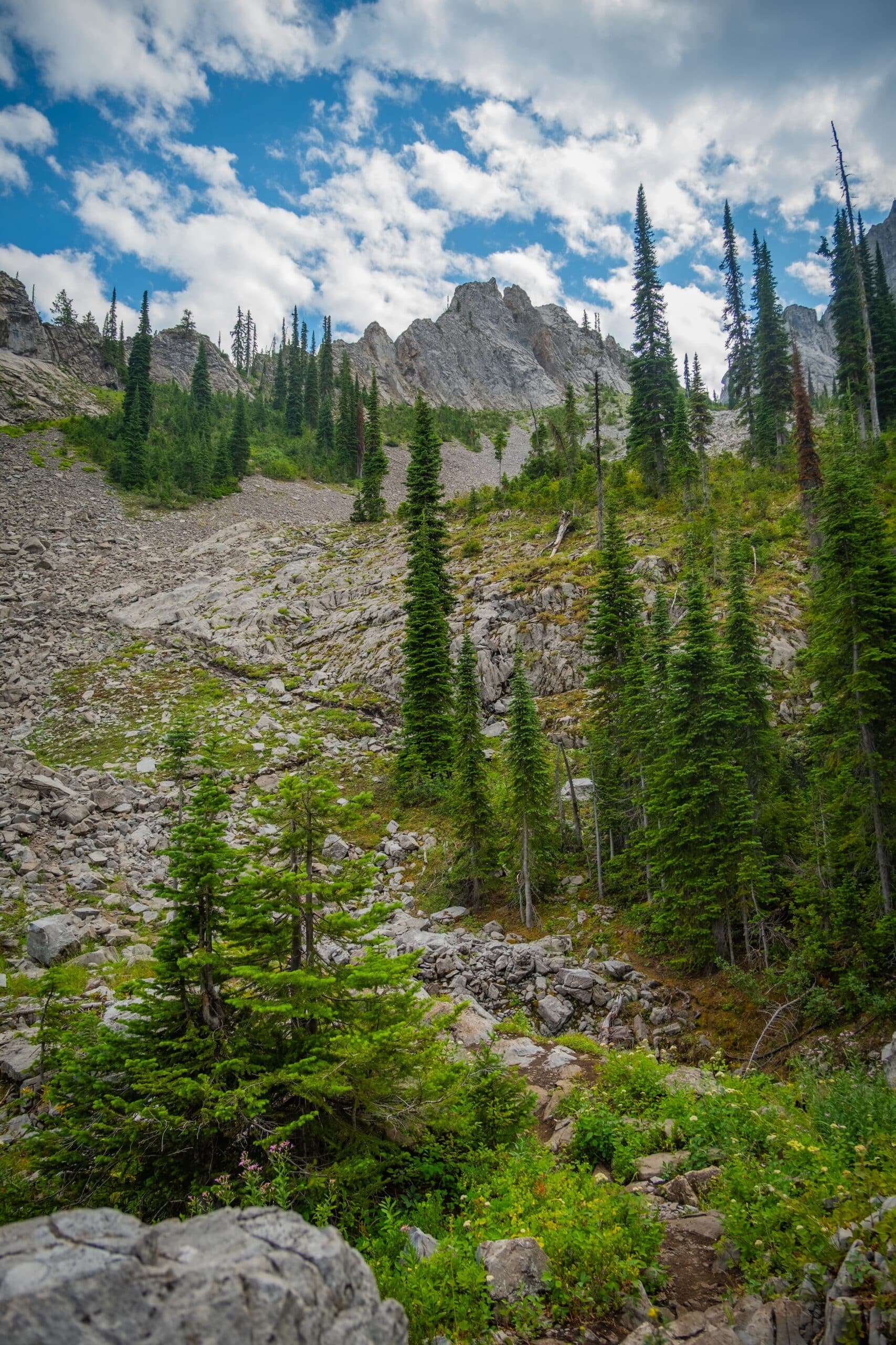 Spineback Trail