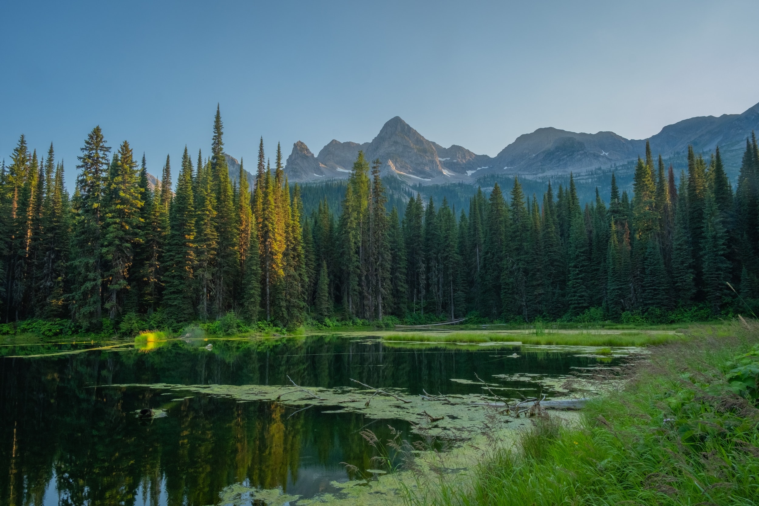 Island Lake