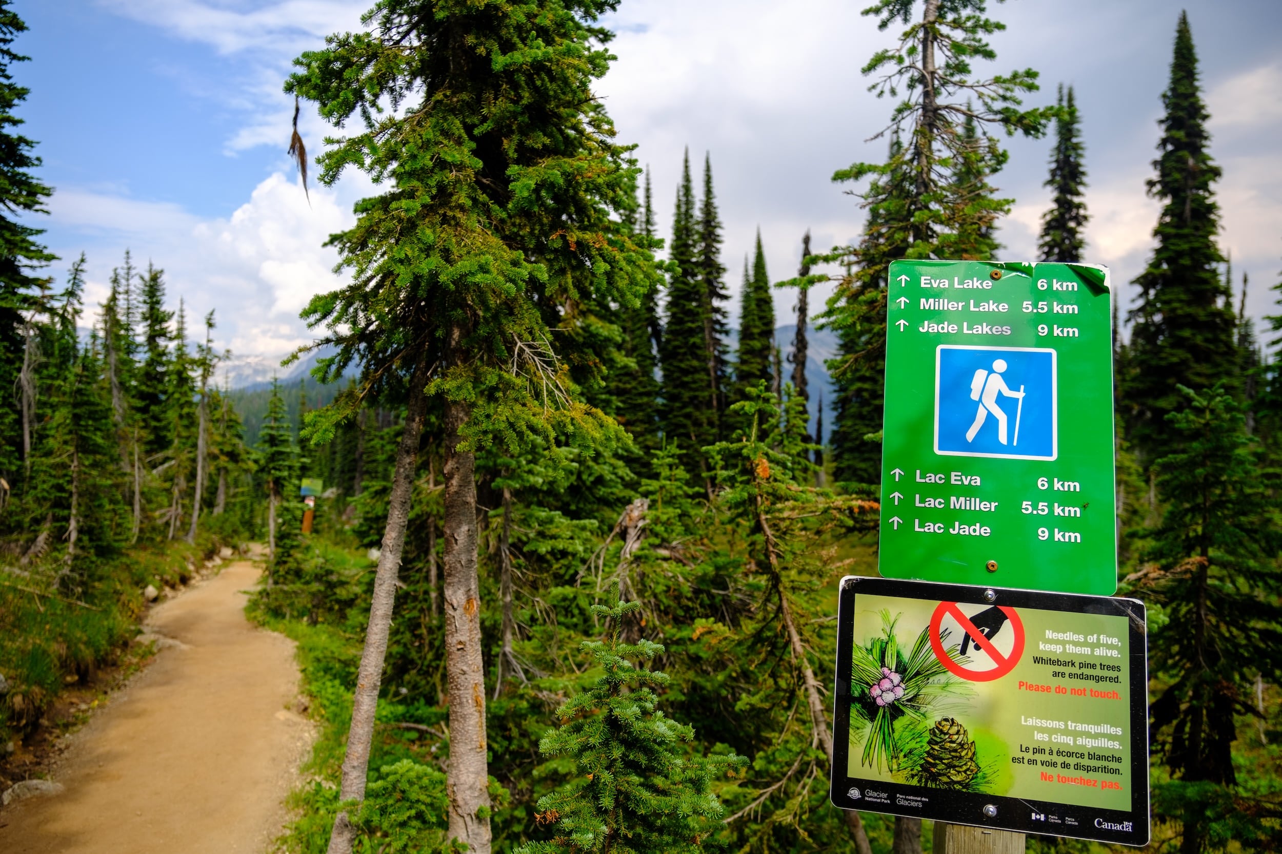 Trail to Eva & Miller Lake