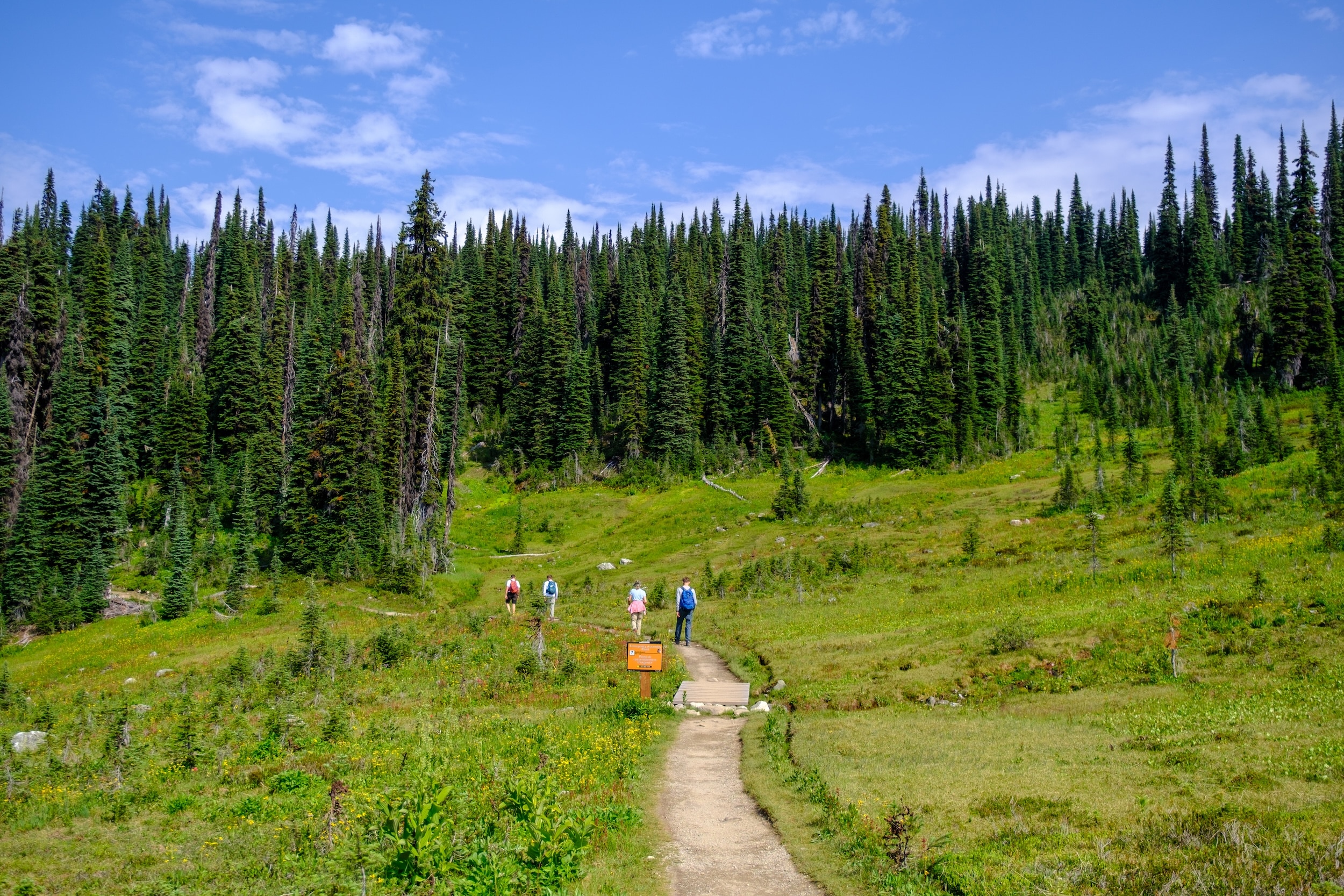 Hikers On Trail In Mount Revelstoke National Park 