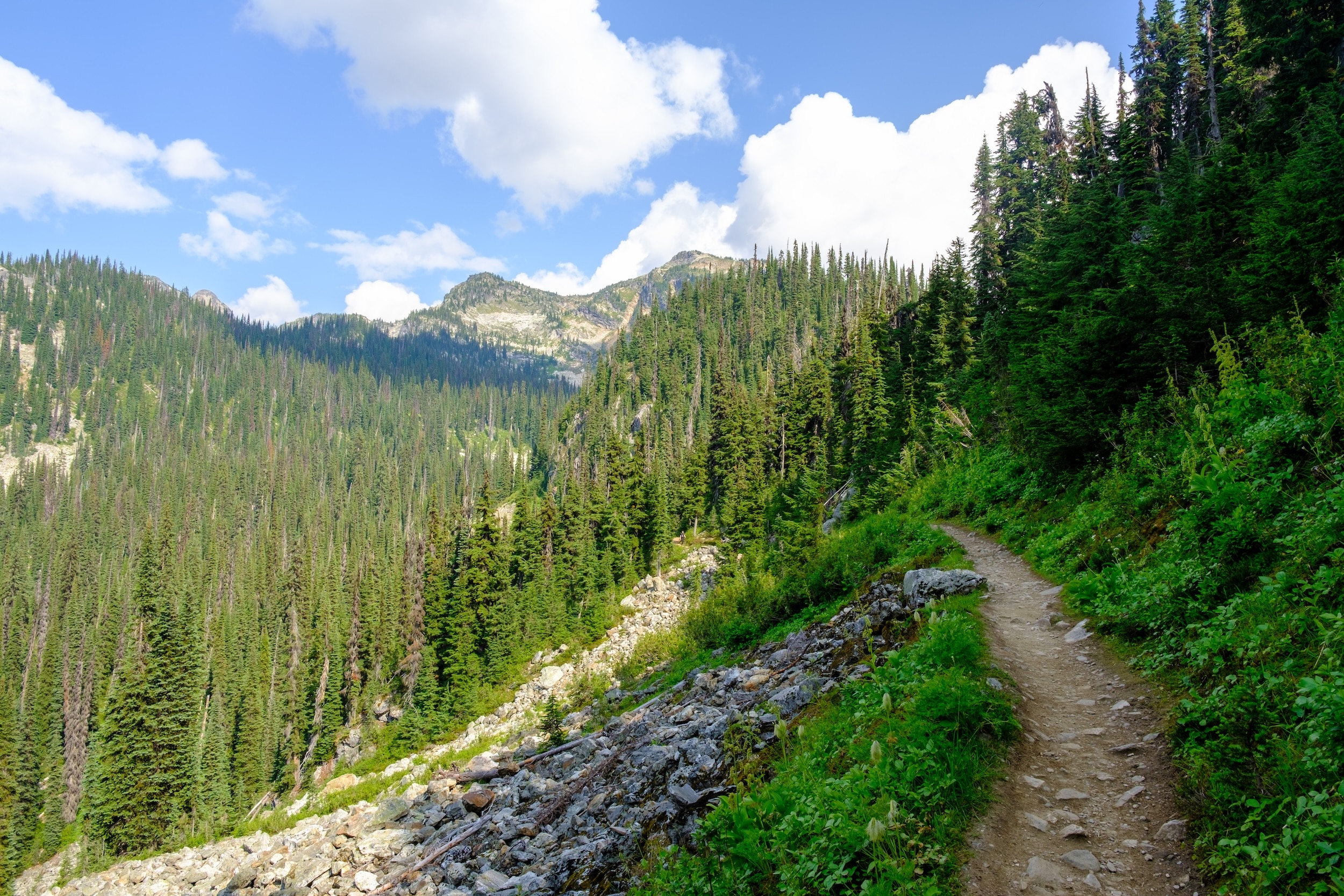 Eva Lake Trail