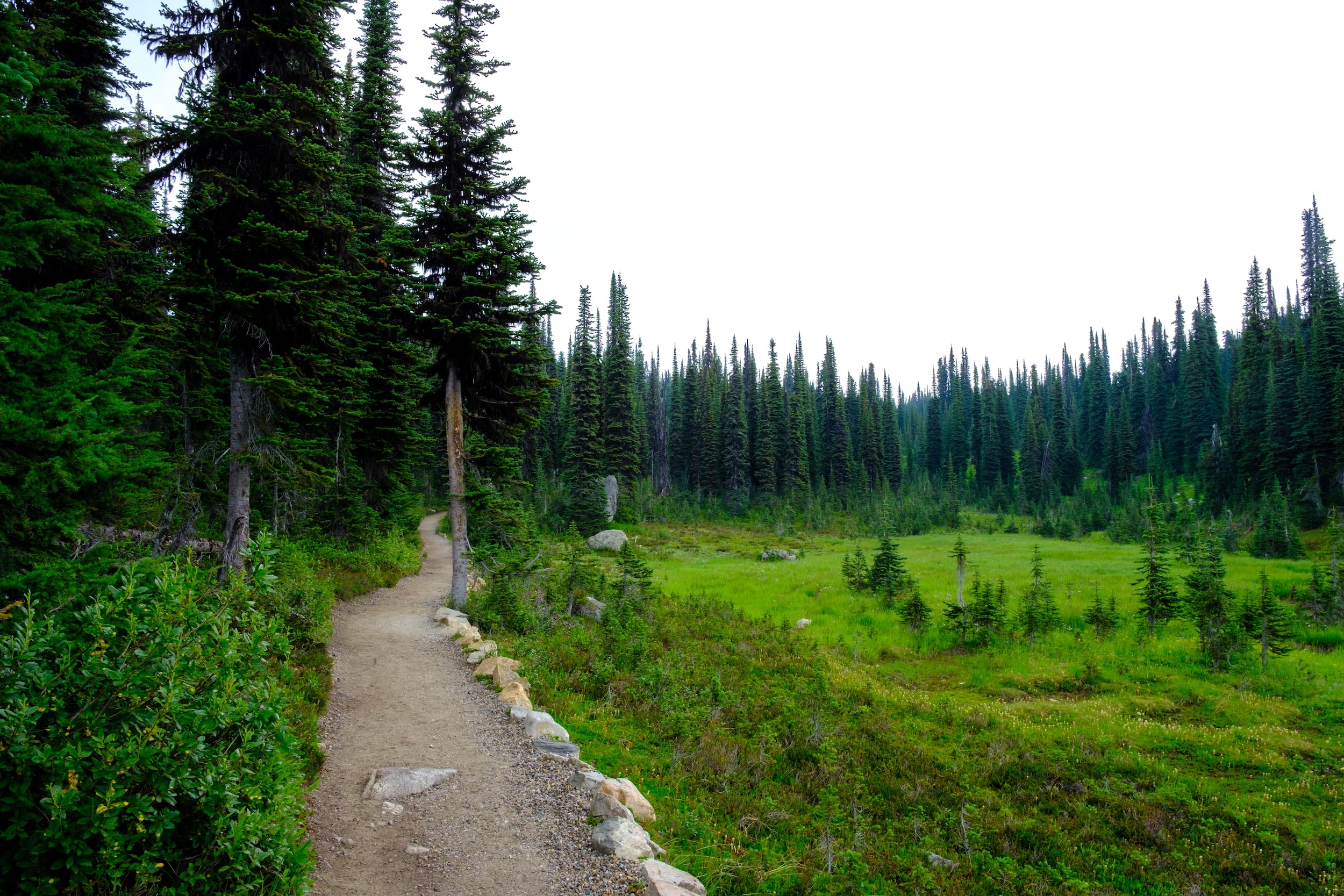 Trail From Parking Lot In Mount Revelstoke National Park
