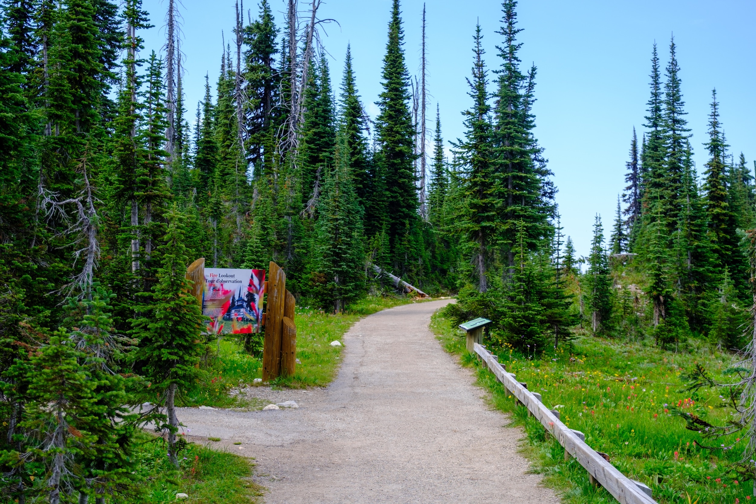 Trail To Summit Of Mount Revelstoke 
