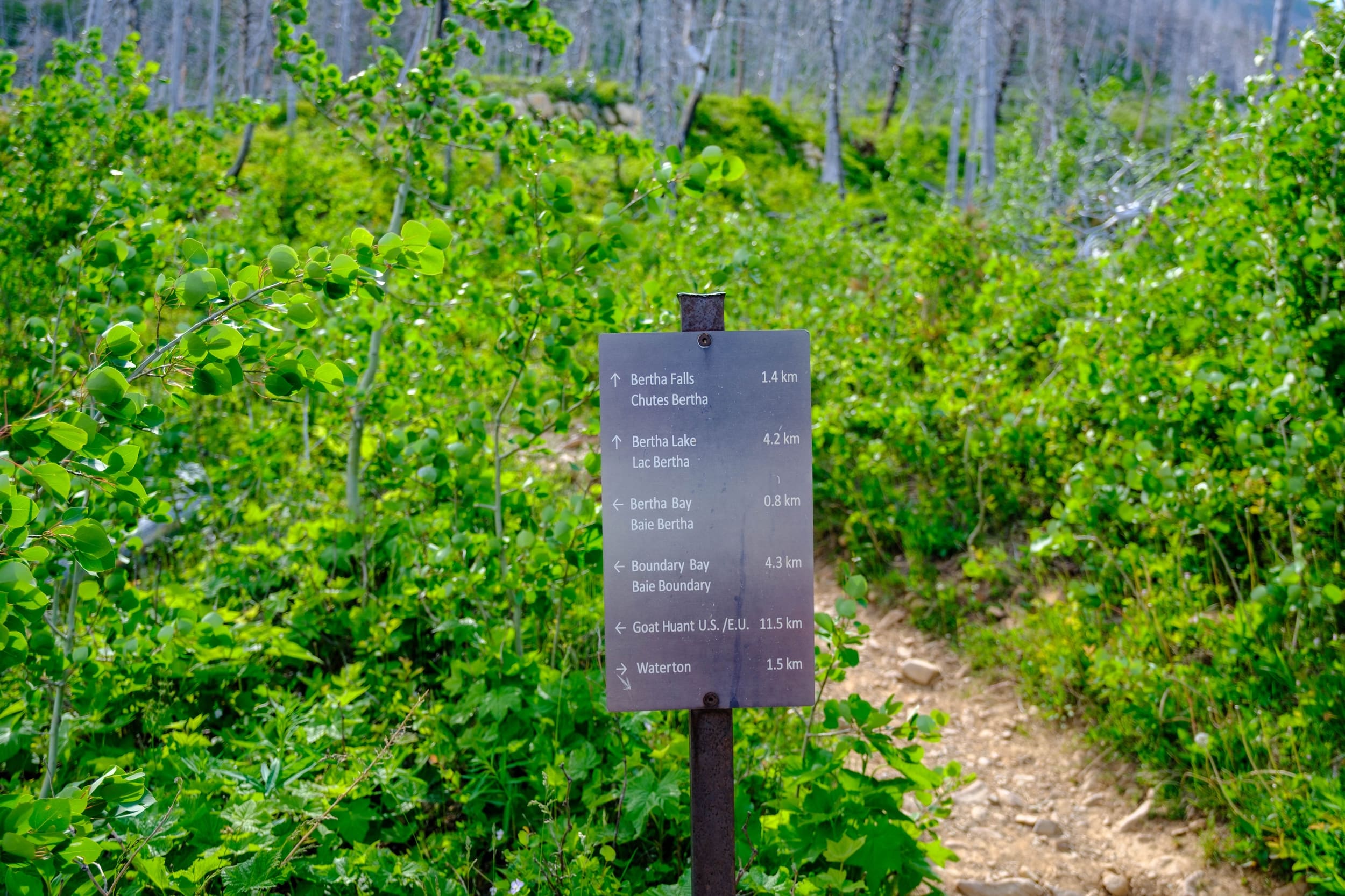 Bertha Trail Sign