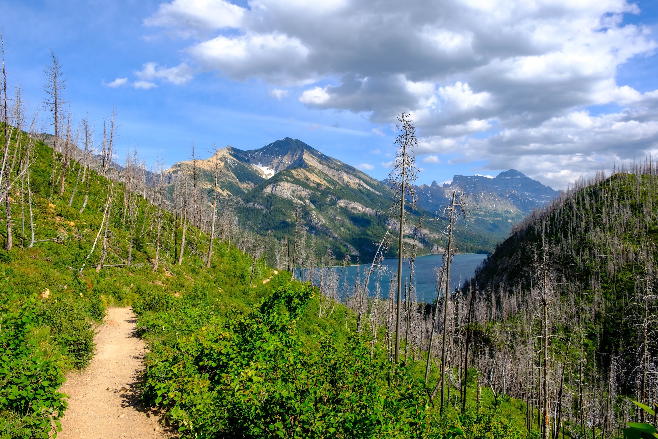 Bertha Trail