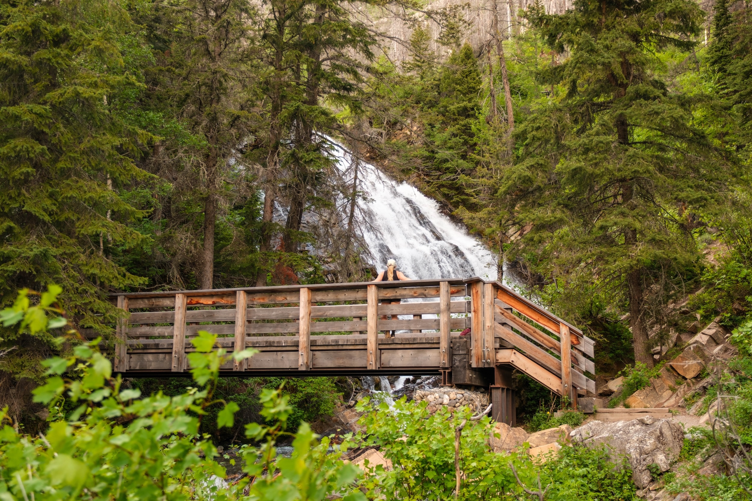 Natasha Bridge Bertha Falls