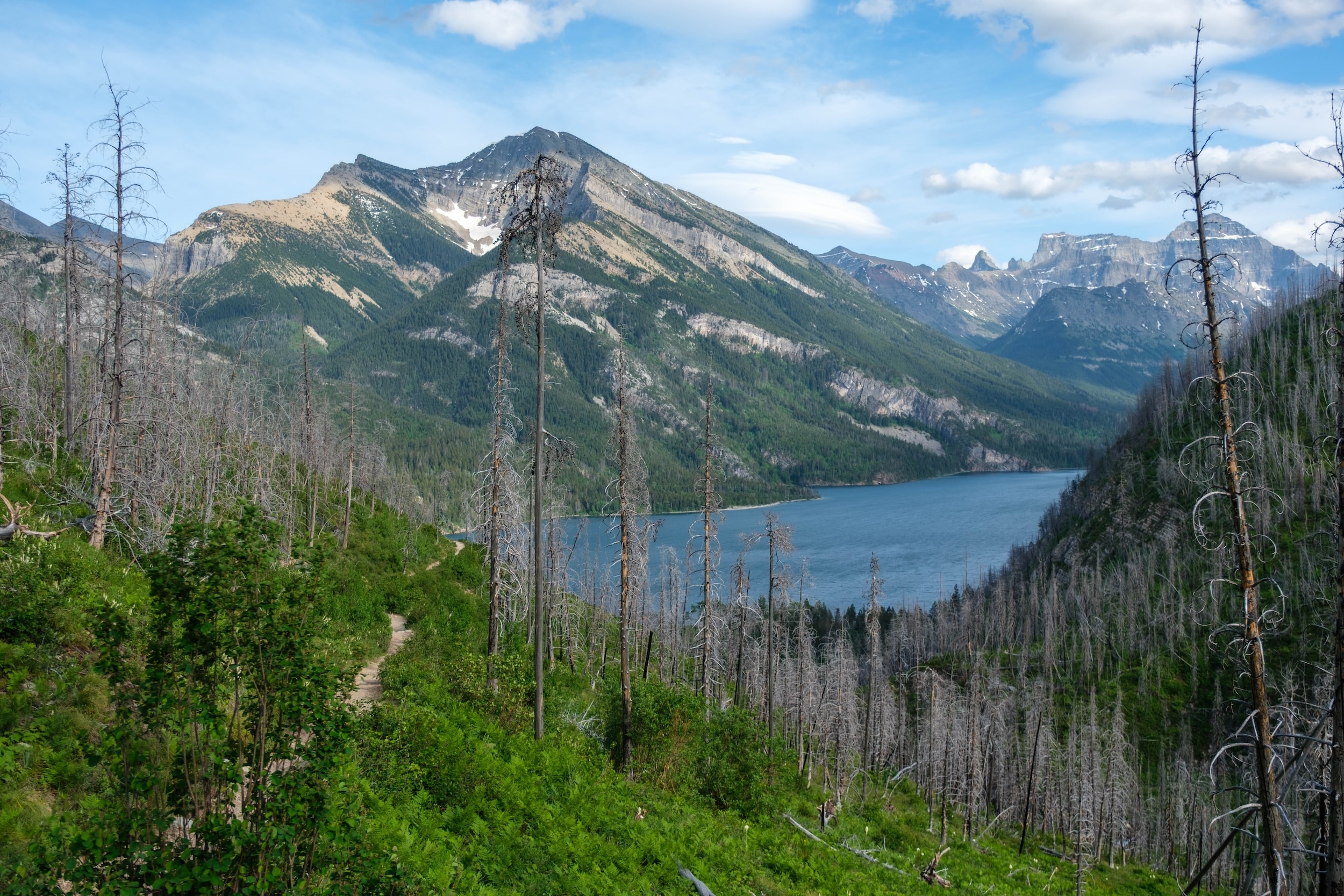 Bertha Trail