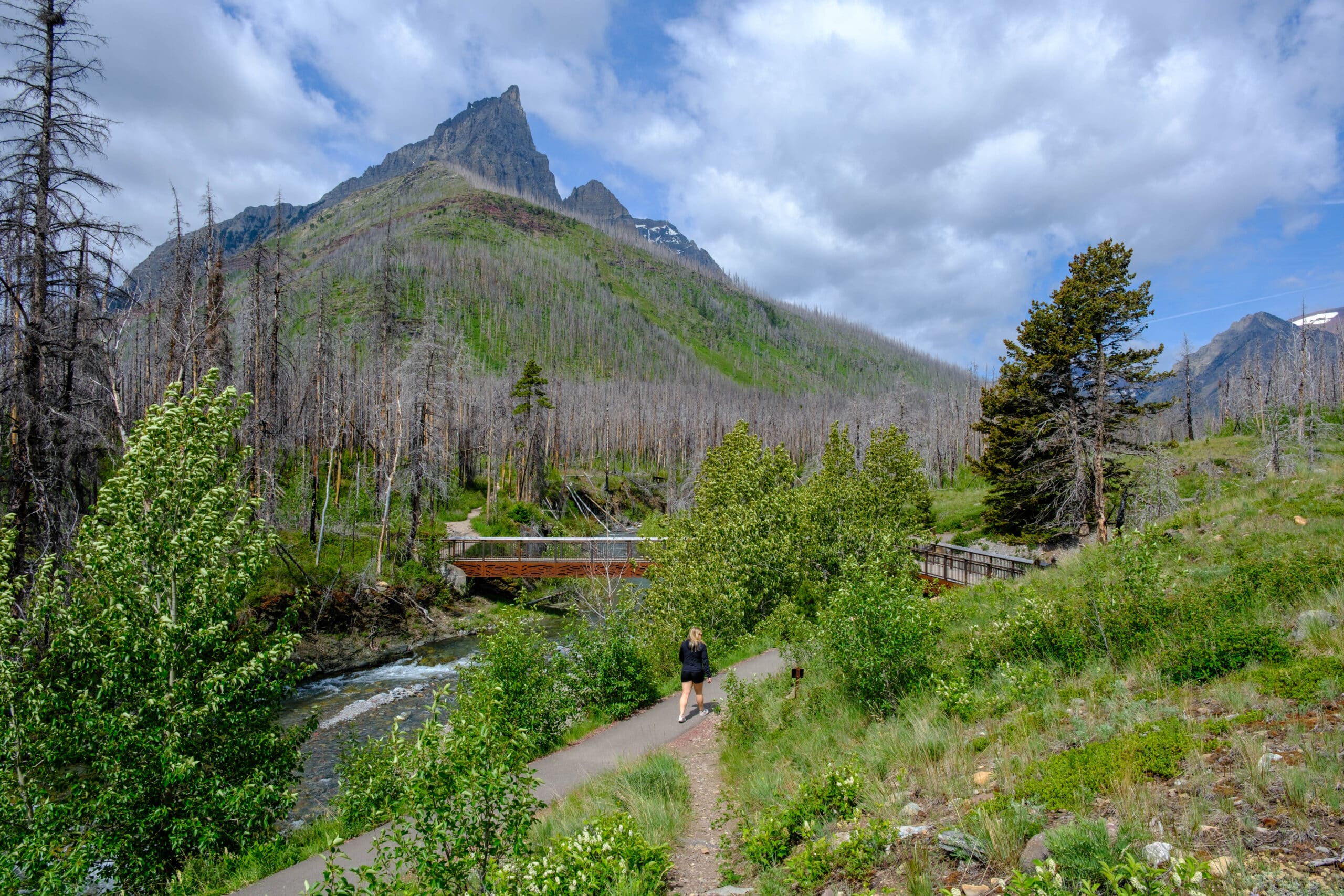 Blakiston Falls Trail