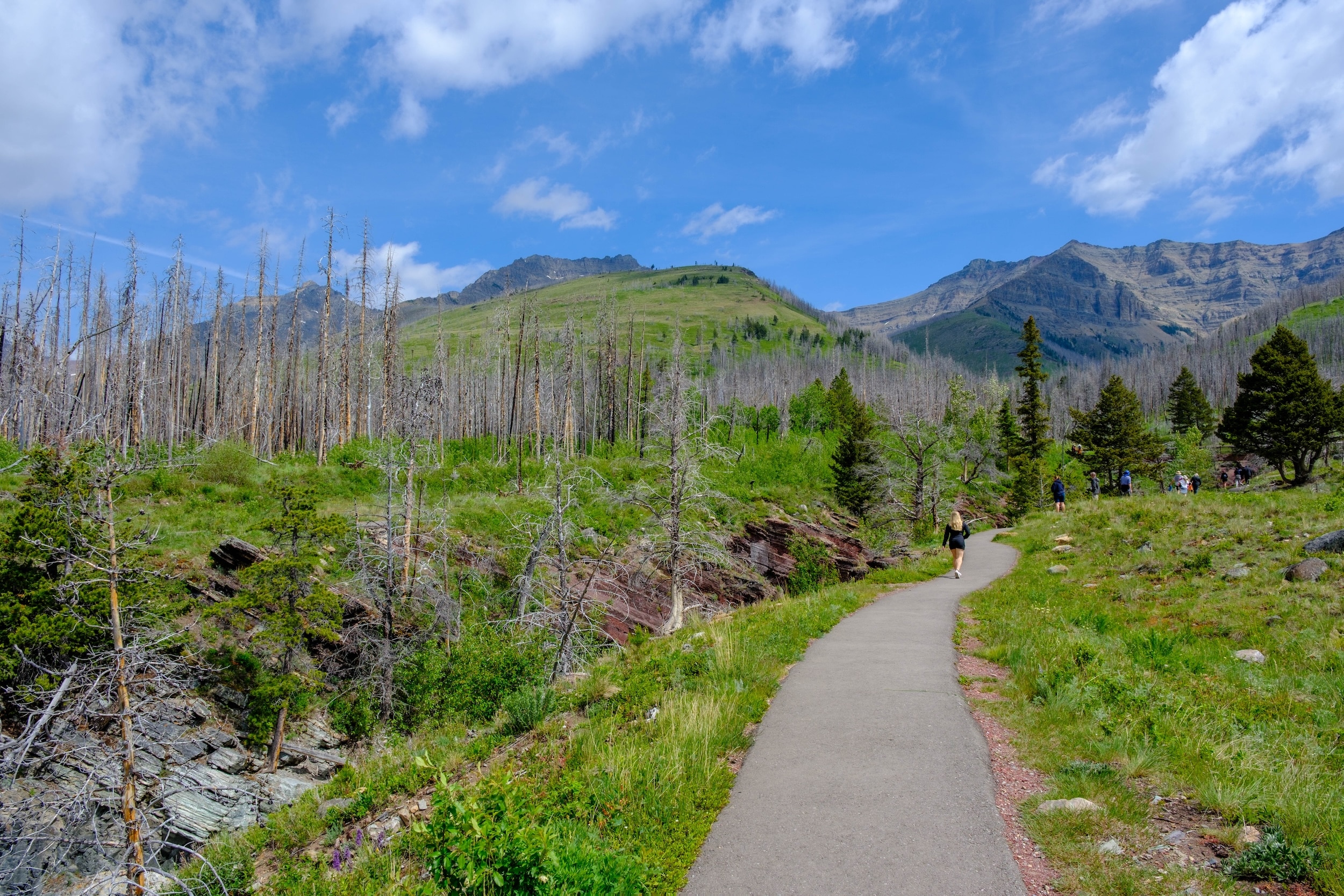 Red Rock Canyon pathway