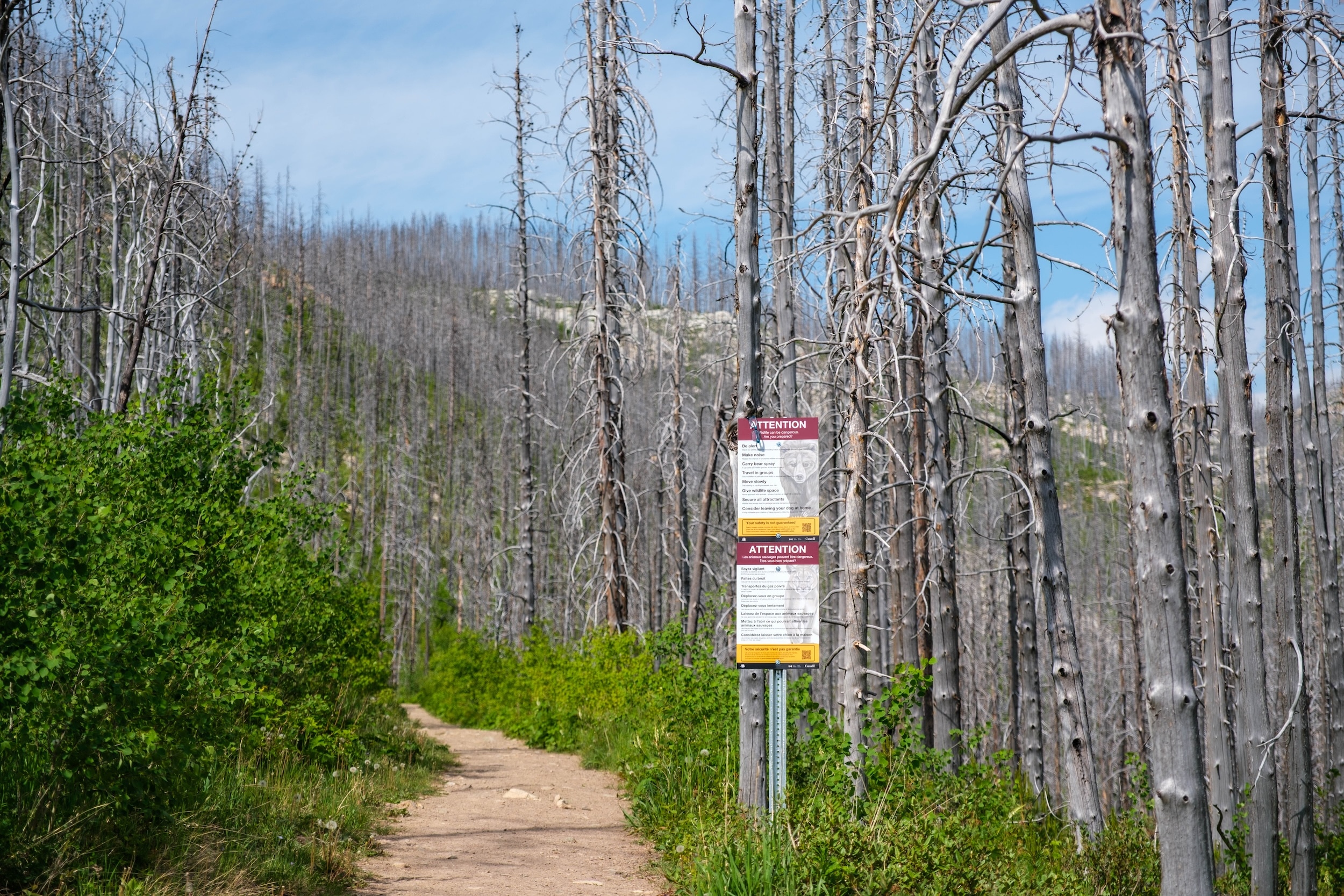 Start Of Crandell Lake Trail