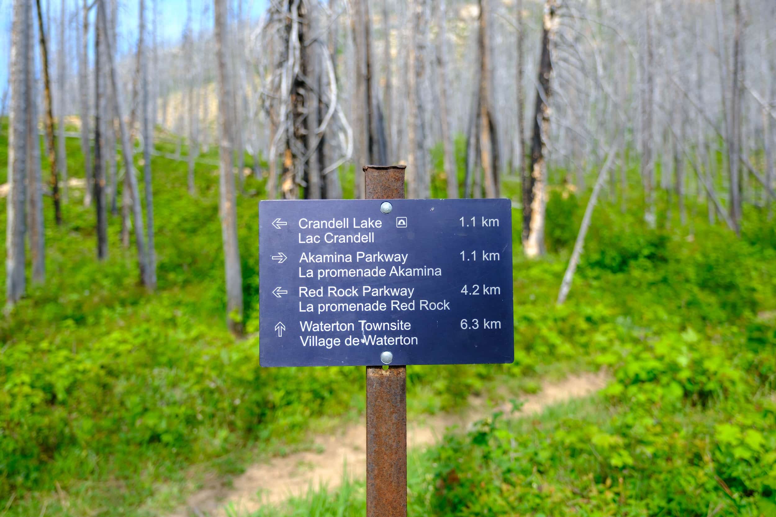 Crandell Lake Trail Post Sign