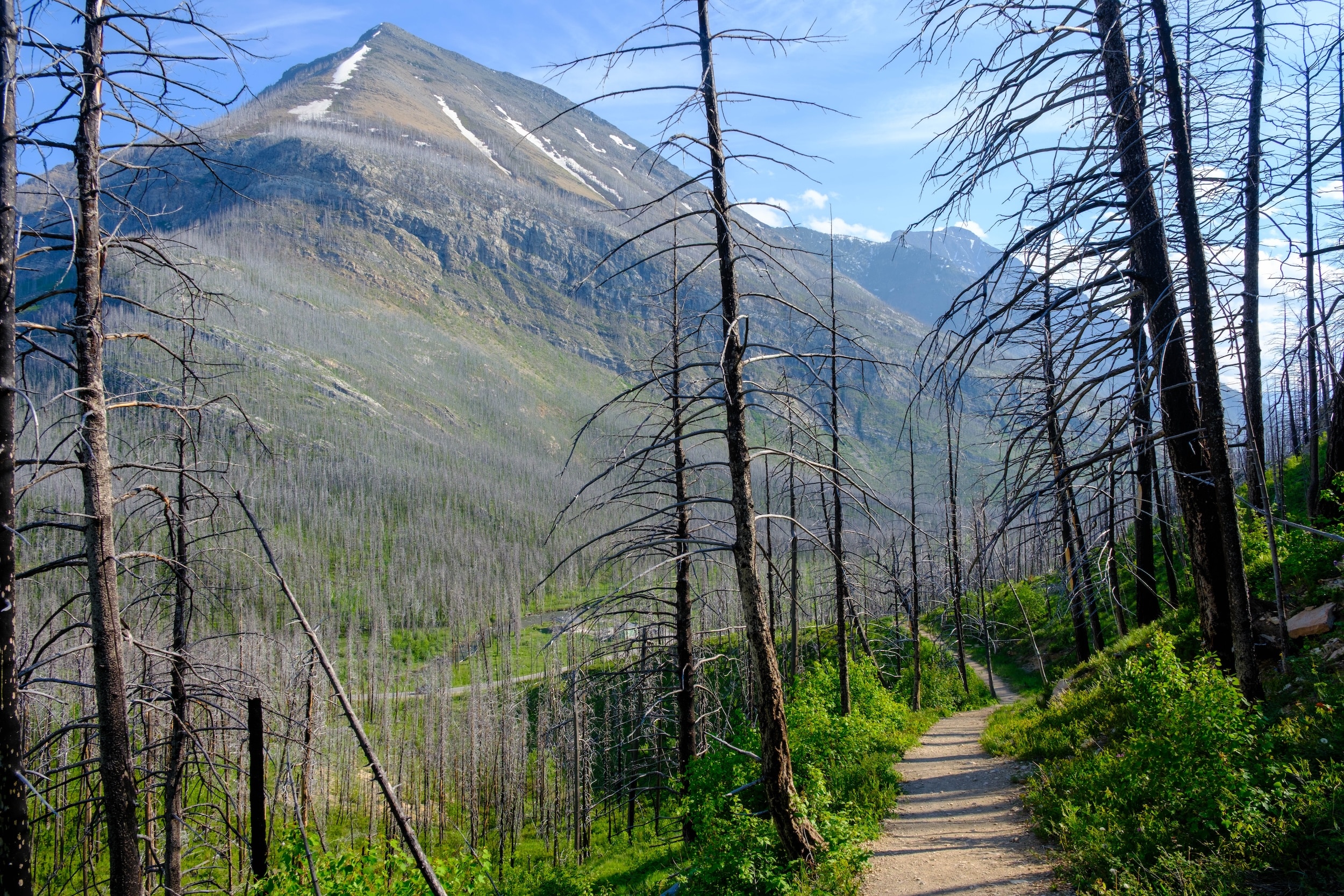Trail Back To Akamina Parkway Crandell Lake