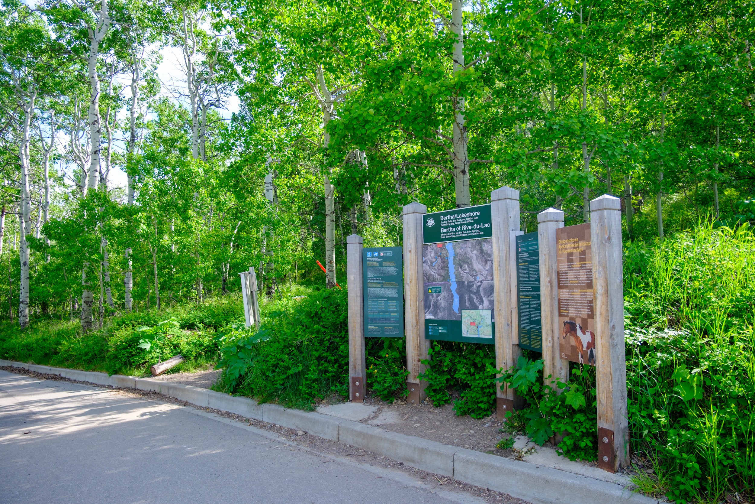 Bertha Trailhead