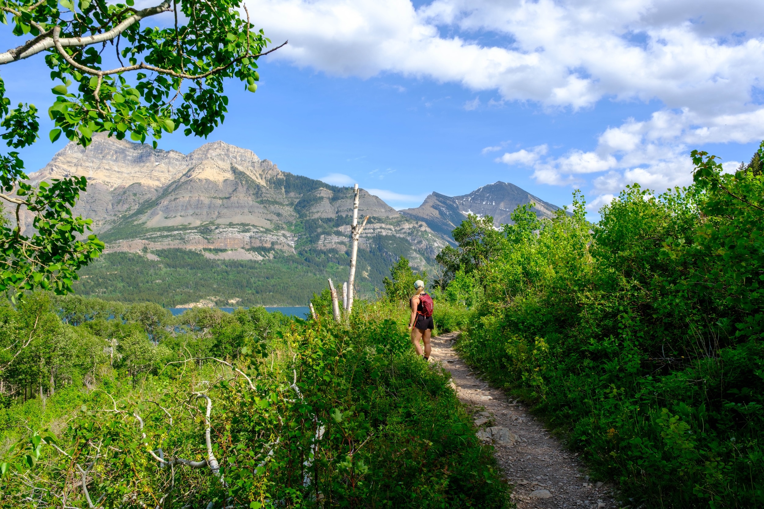 Bertha Trail Views
