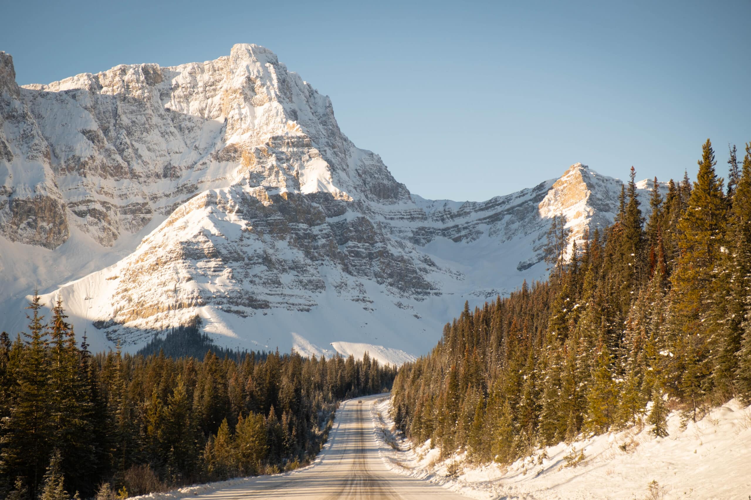 driving the icefields parkway winter