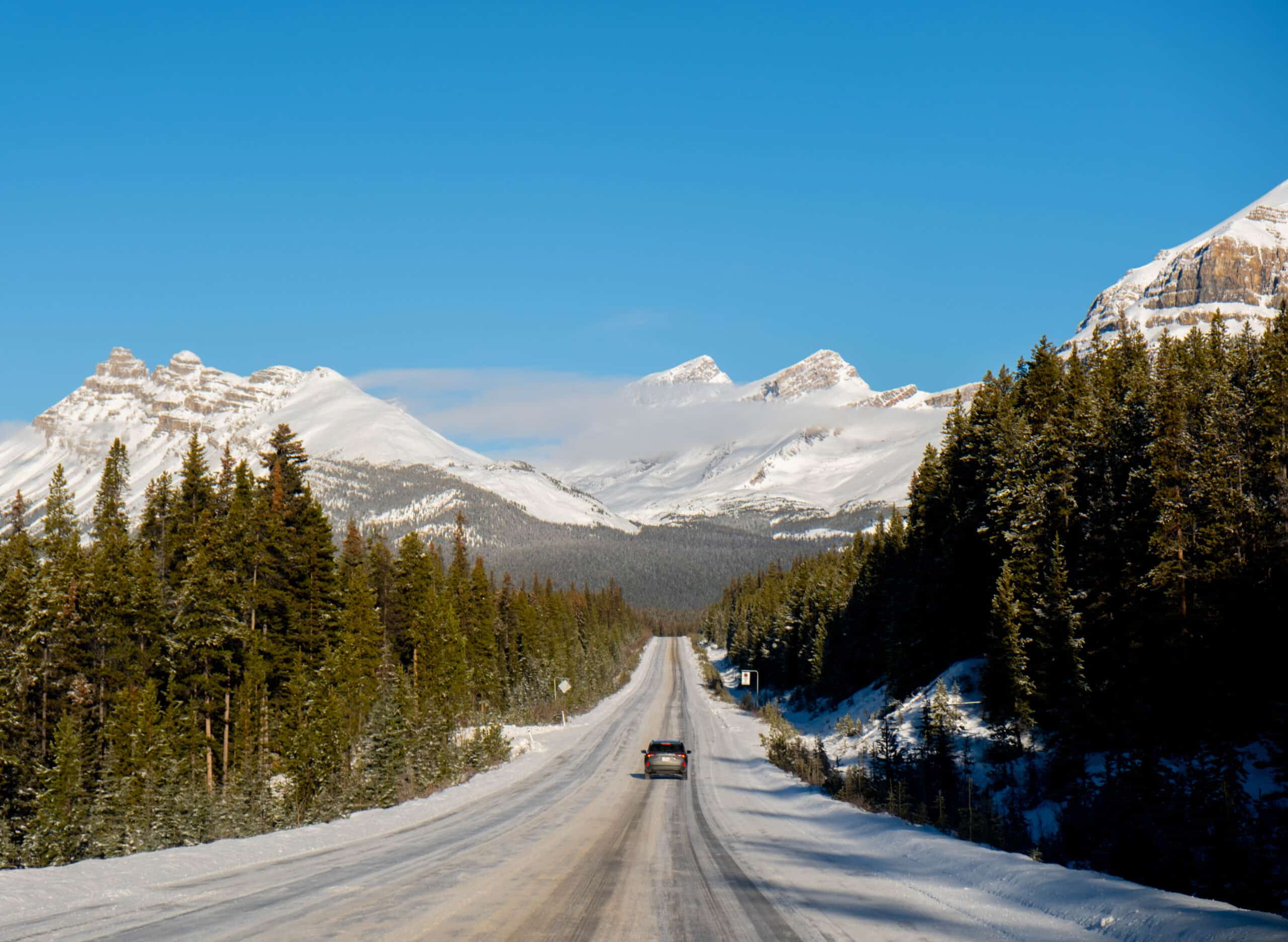 driving the icefields parkway