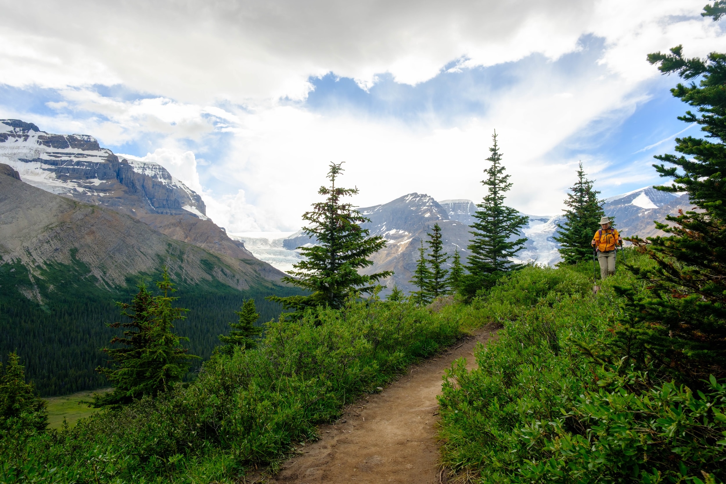 first view along Wilcox pass trail