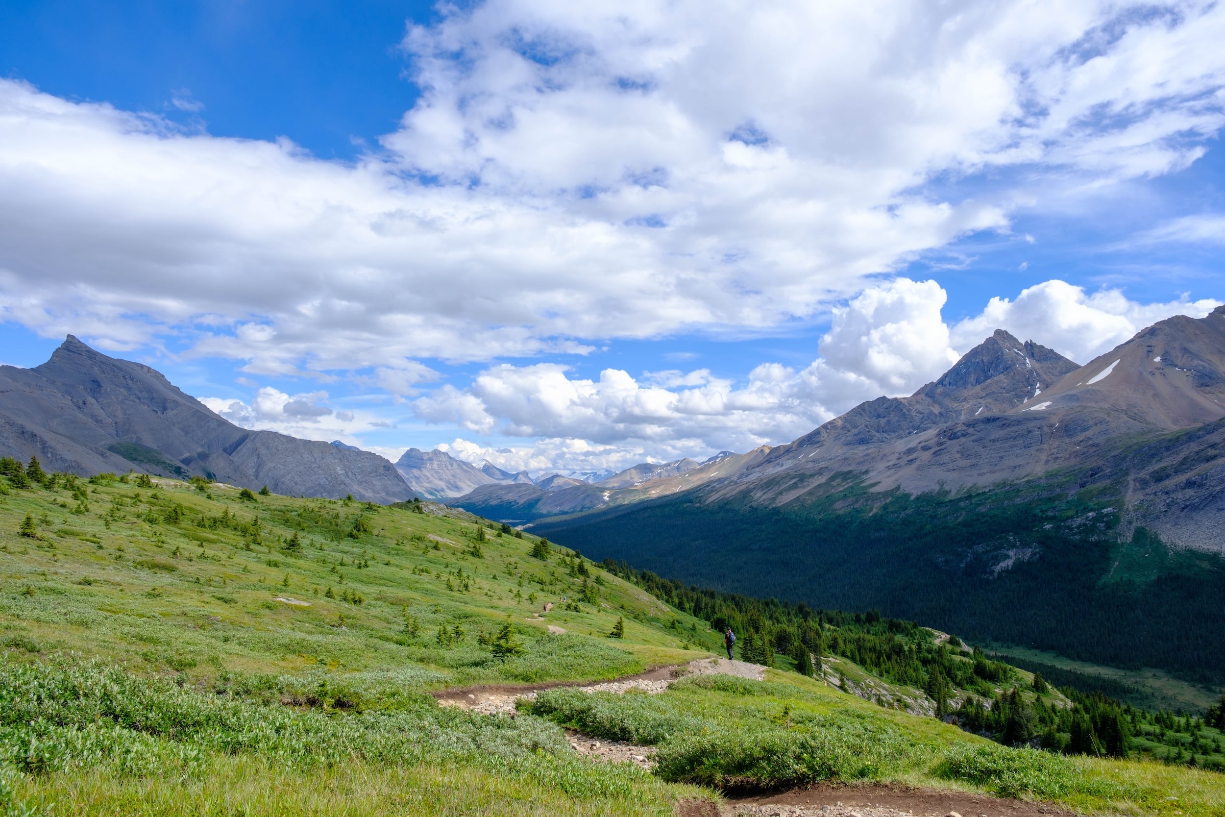 alpine views Wilcox pass