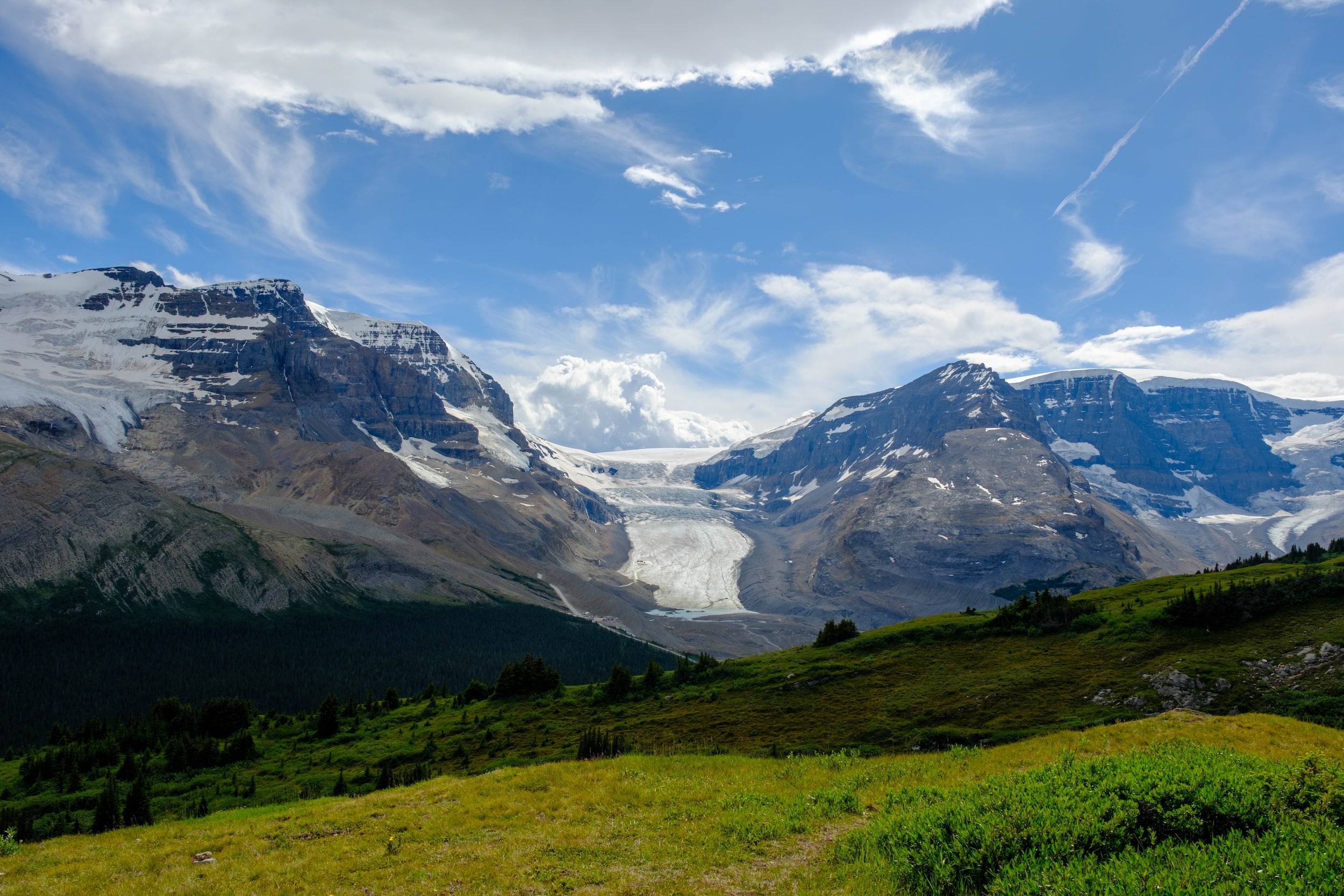 view of athabasca glacier from Wilcox Pass hiking trail