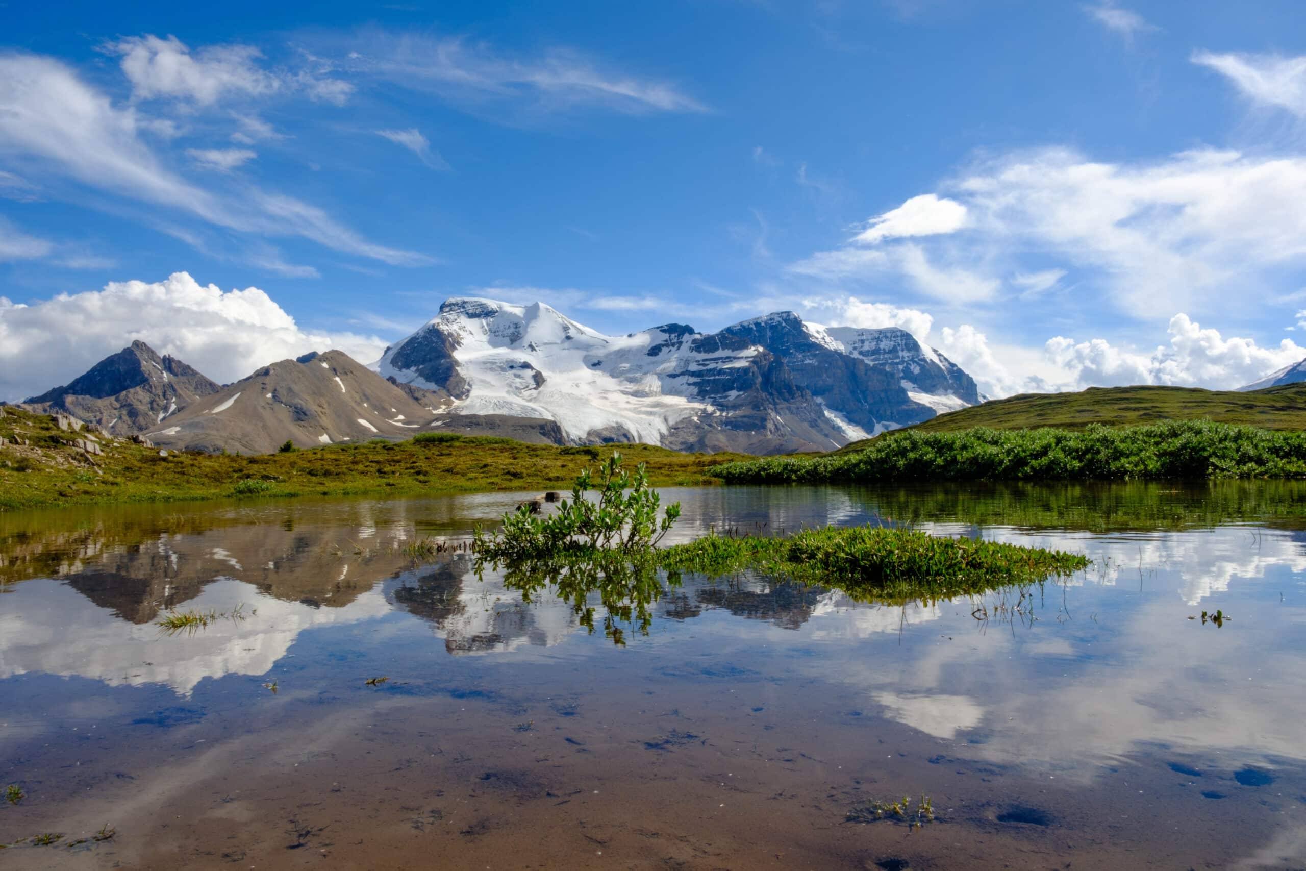 pond in the alpine of Wilcox pass trail