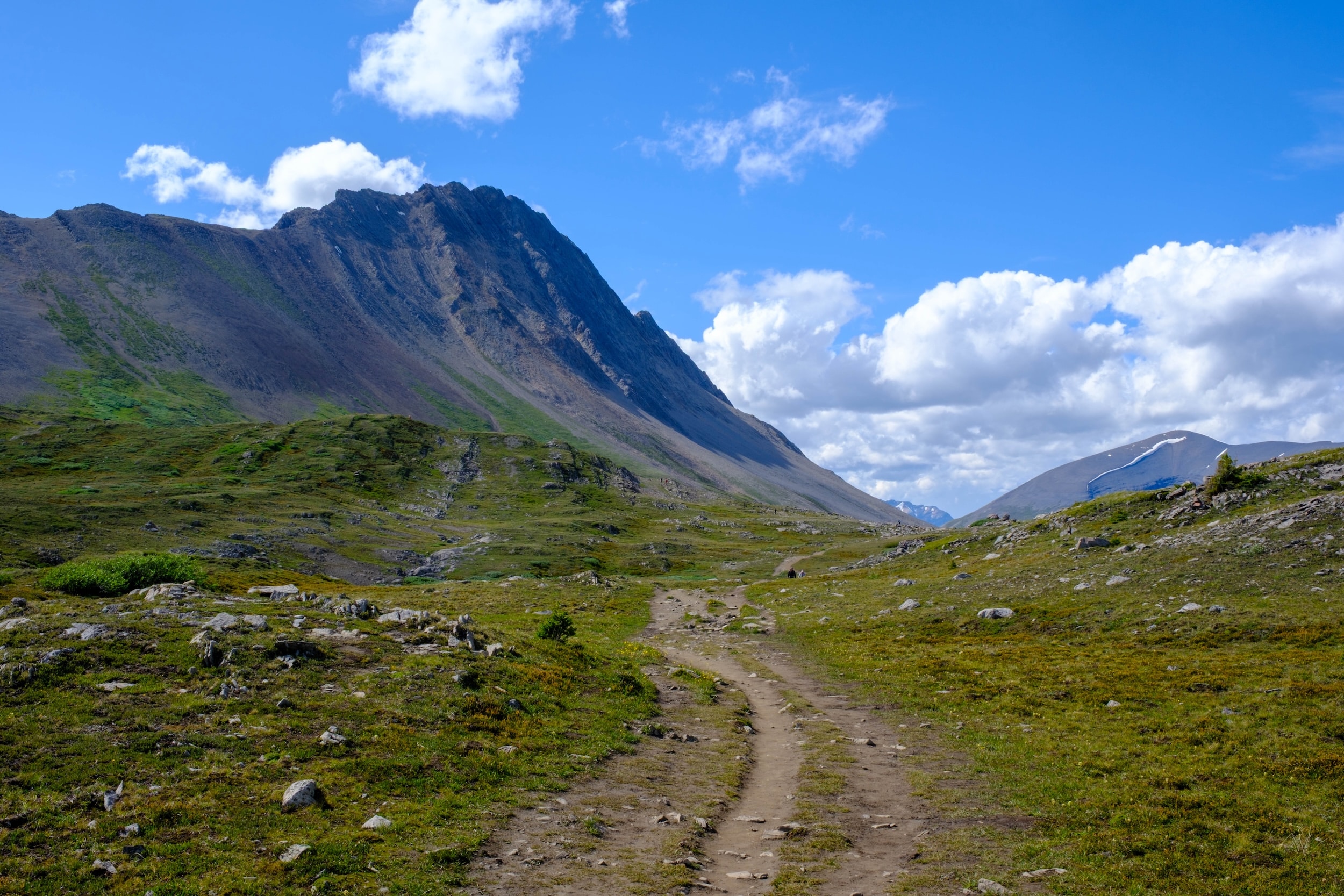 Wilcox Pass trail continuation