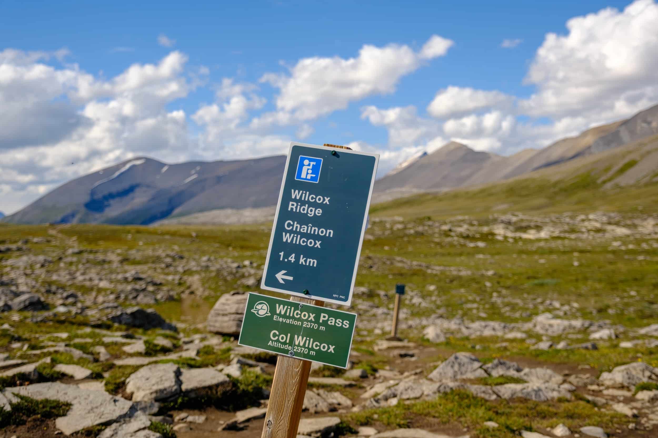 Wilcox Pass sign