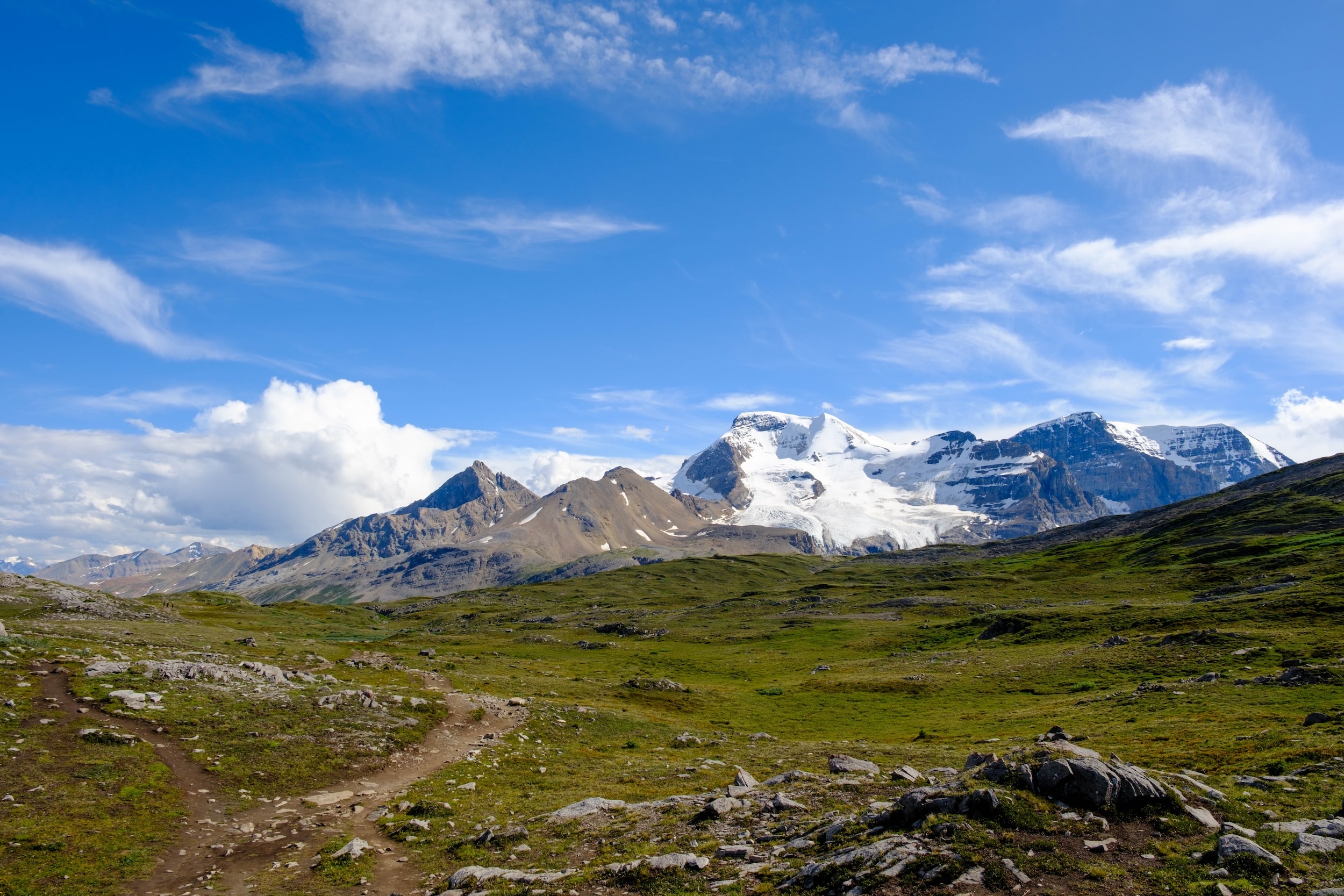 Wilcox Pass trail entering alpine tundra