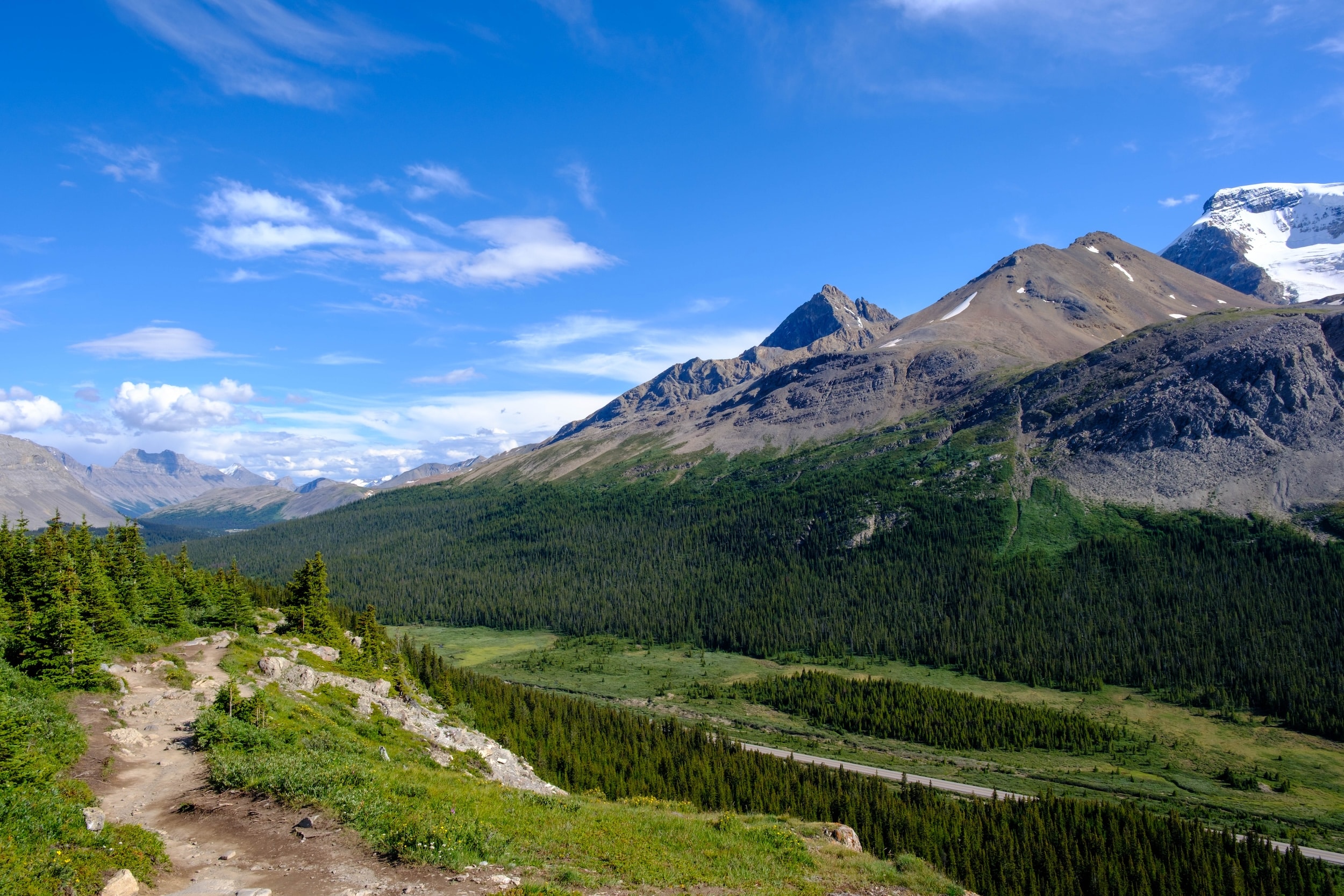 view of Athabasca valley from Wilcox pass trail