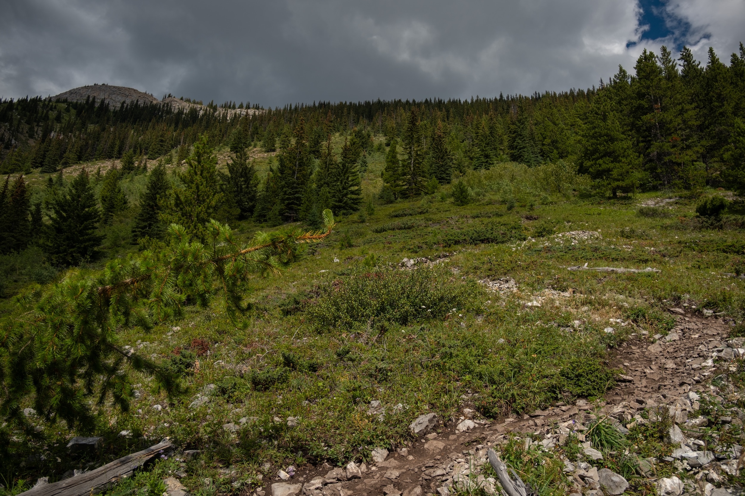 The steep trail of King Creek Ridge