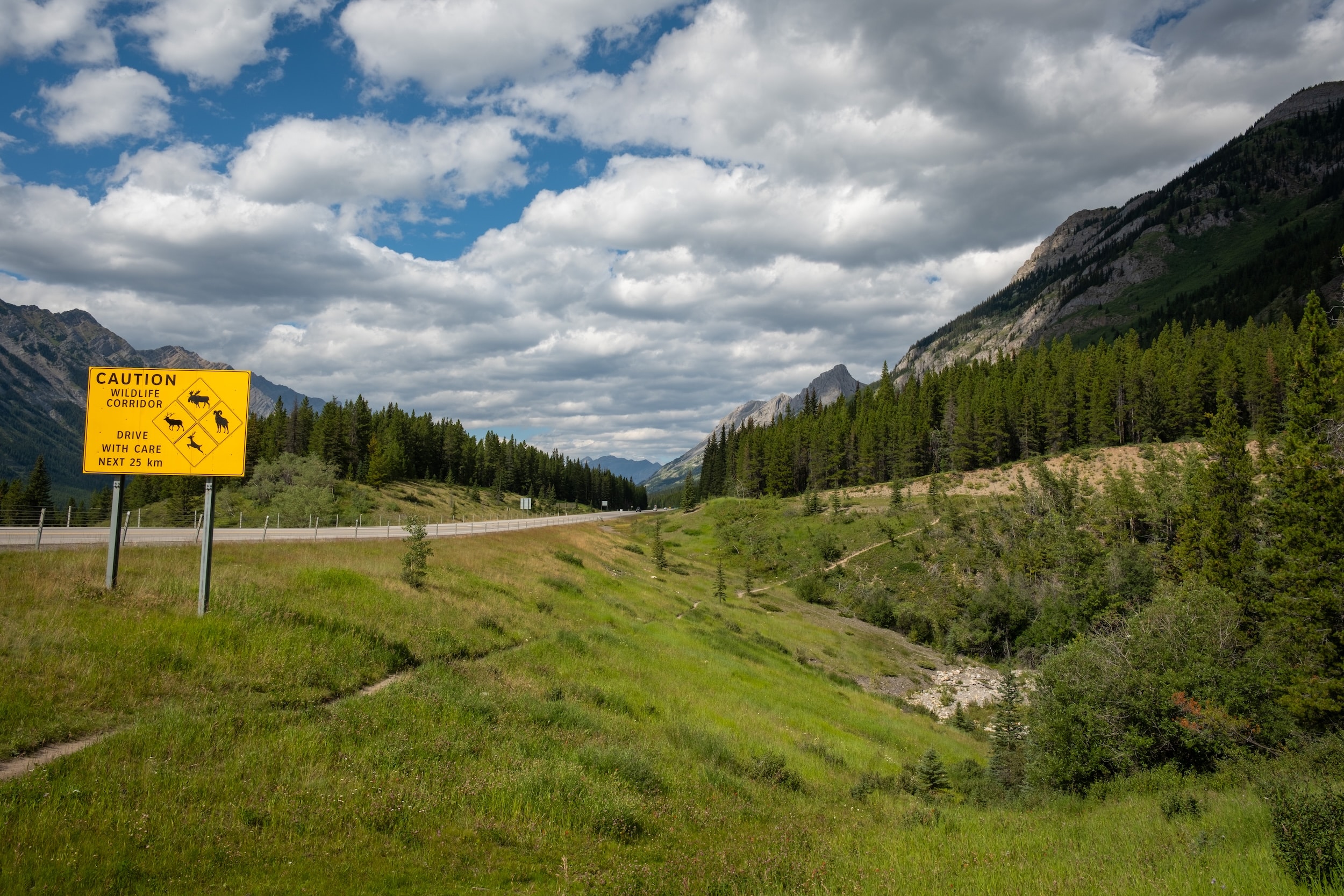 Trailhead of King Creek Ridge Along highway 40