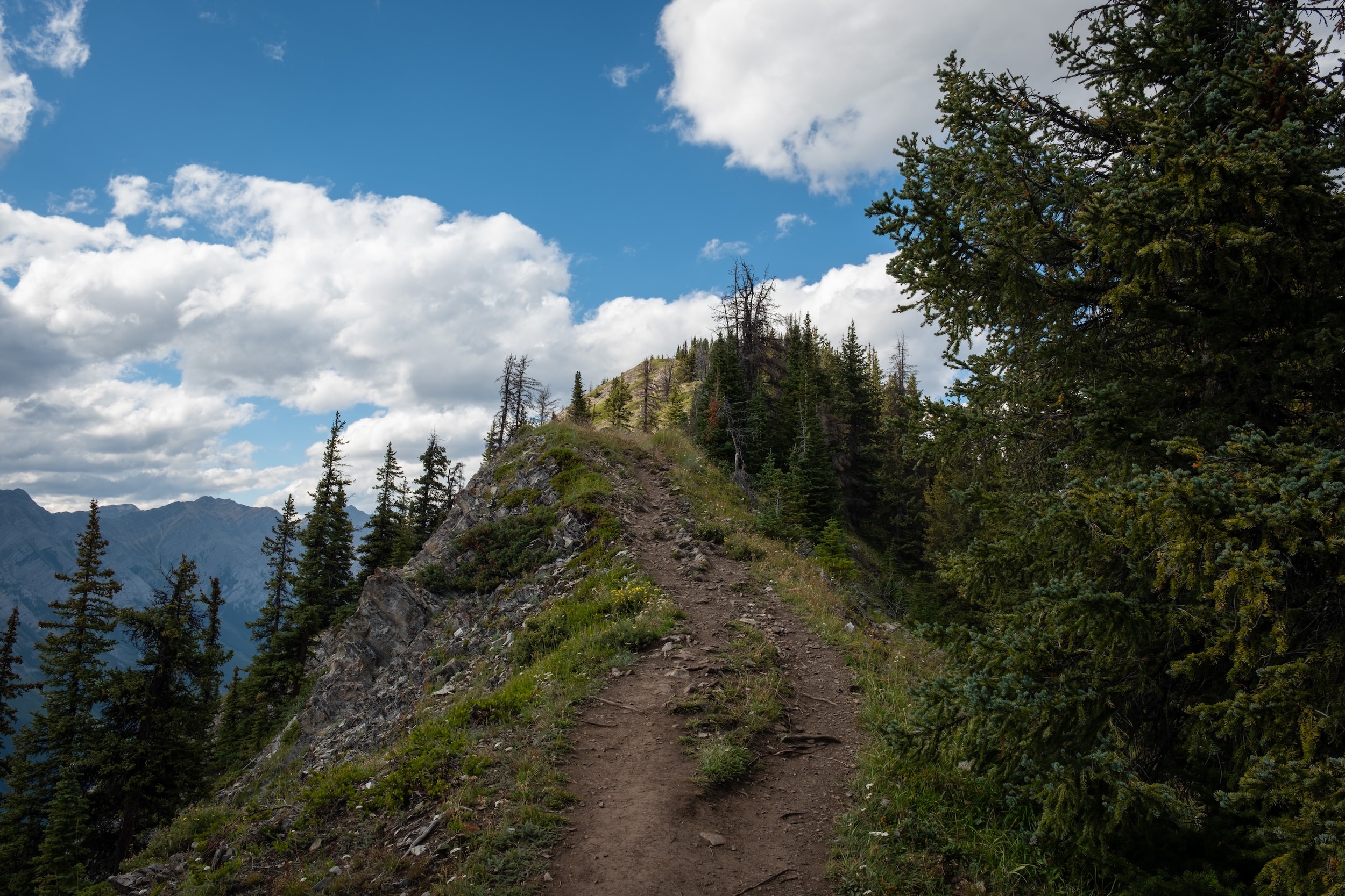 The ridge trail of the King Creek Ridge Trail