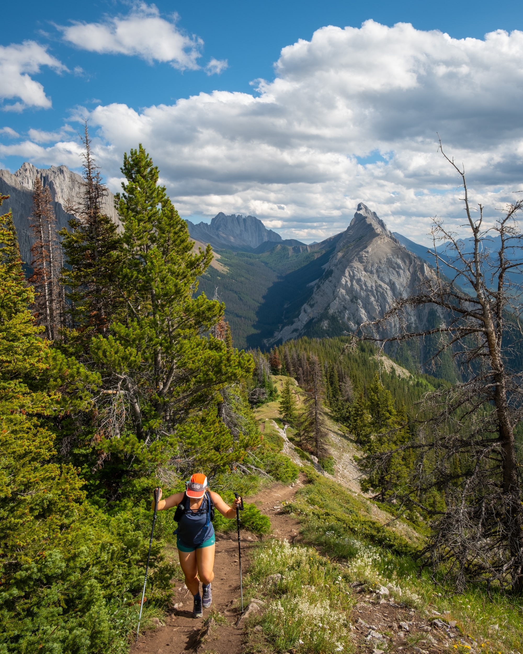 Natasha hiking up the ridge of King Creek Ridge