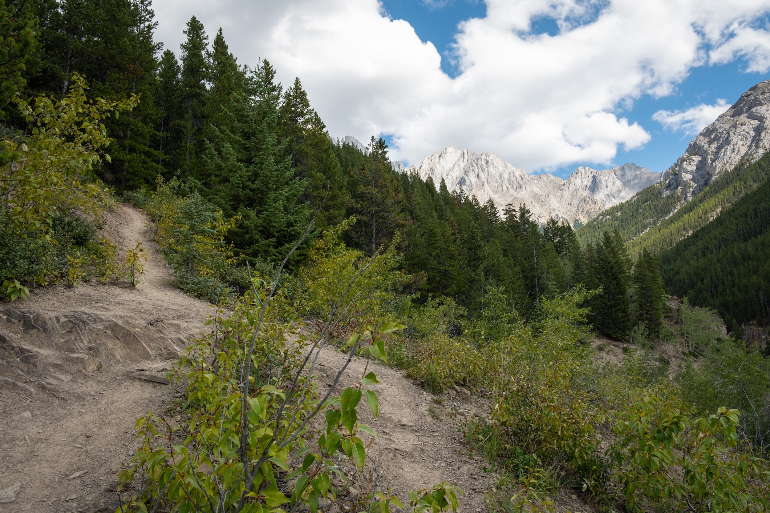 start of the ascent of King Creek Ridge