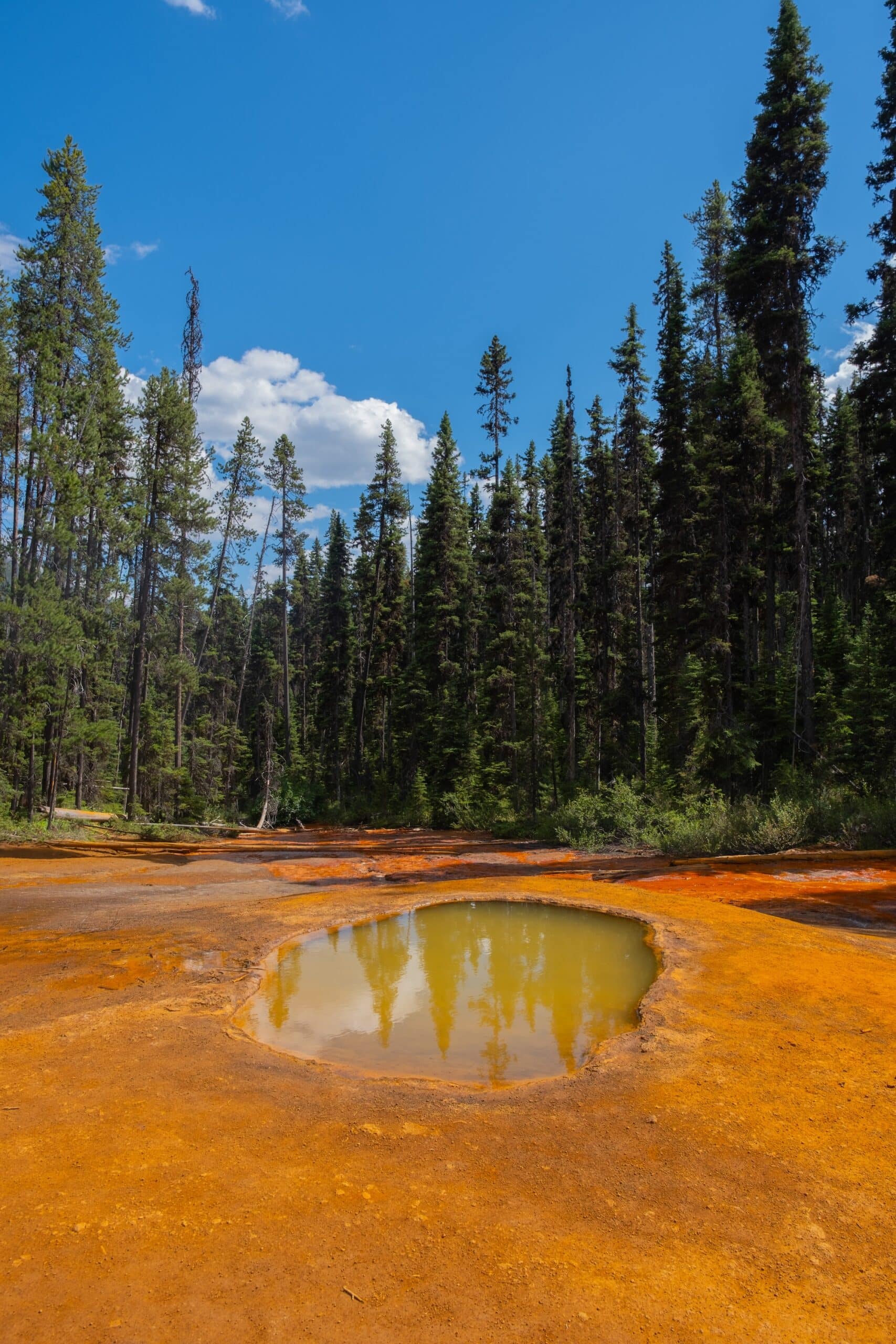 walking to the paint pots