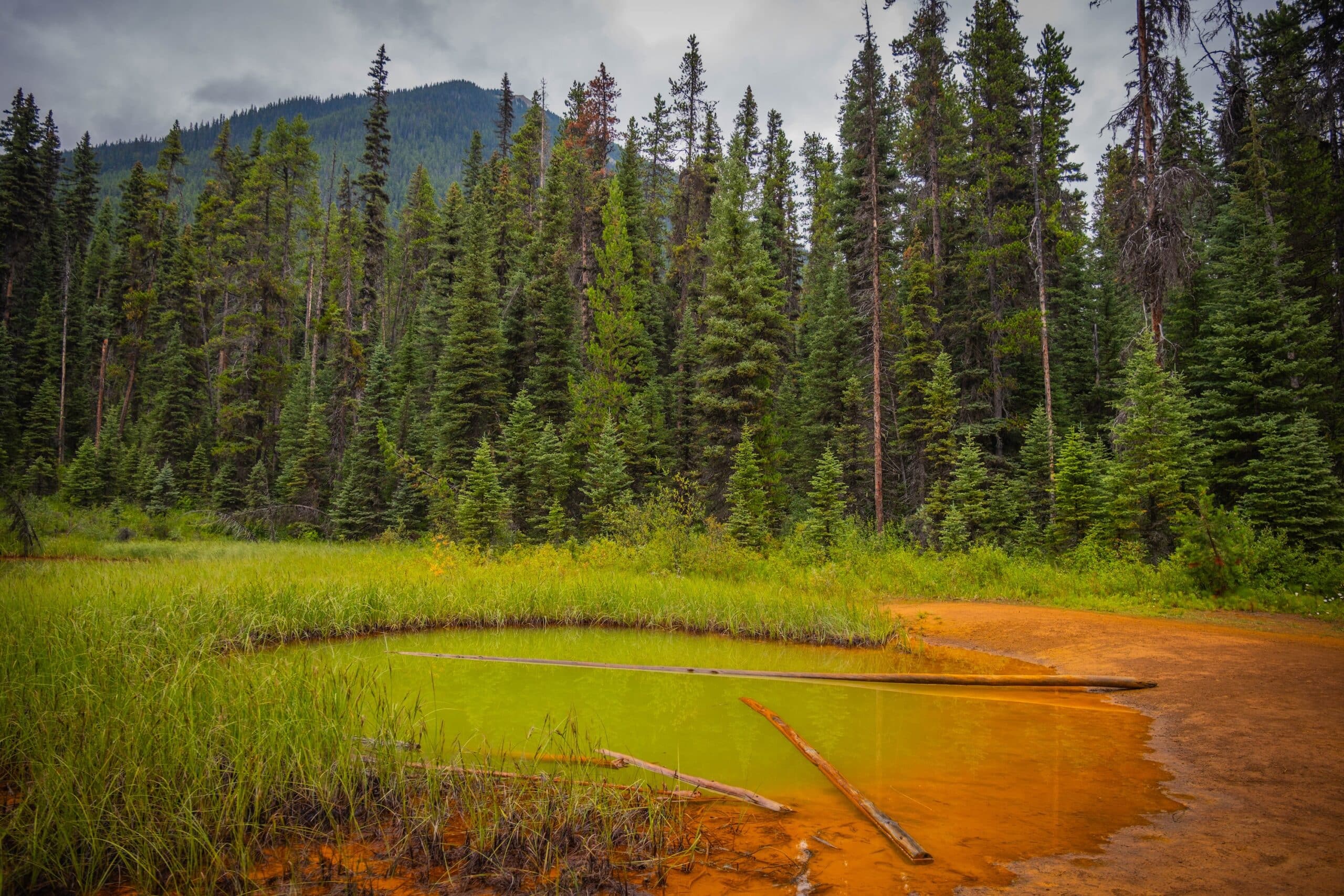 walking to the paint pots