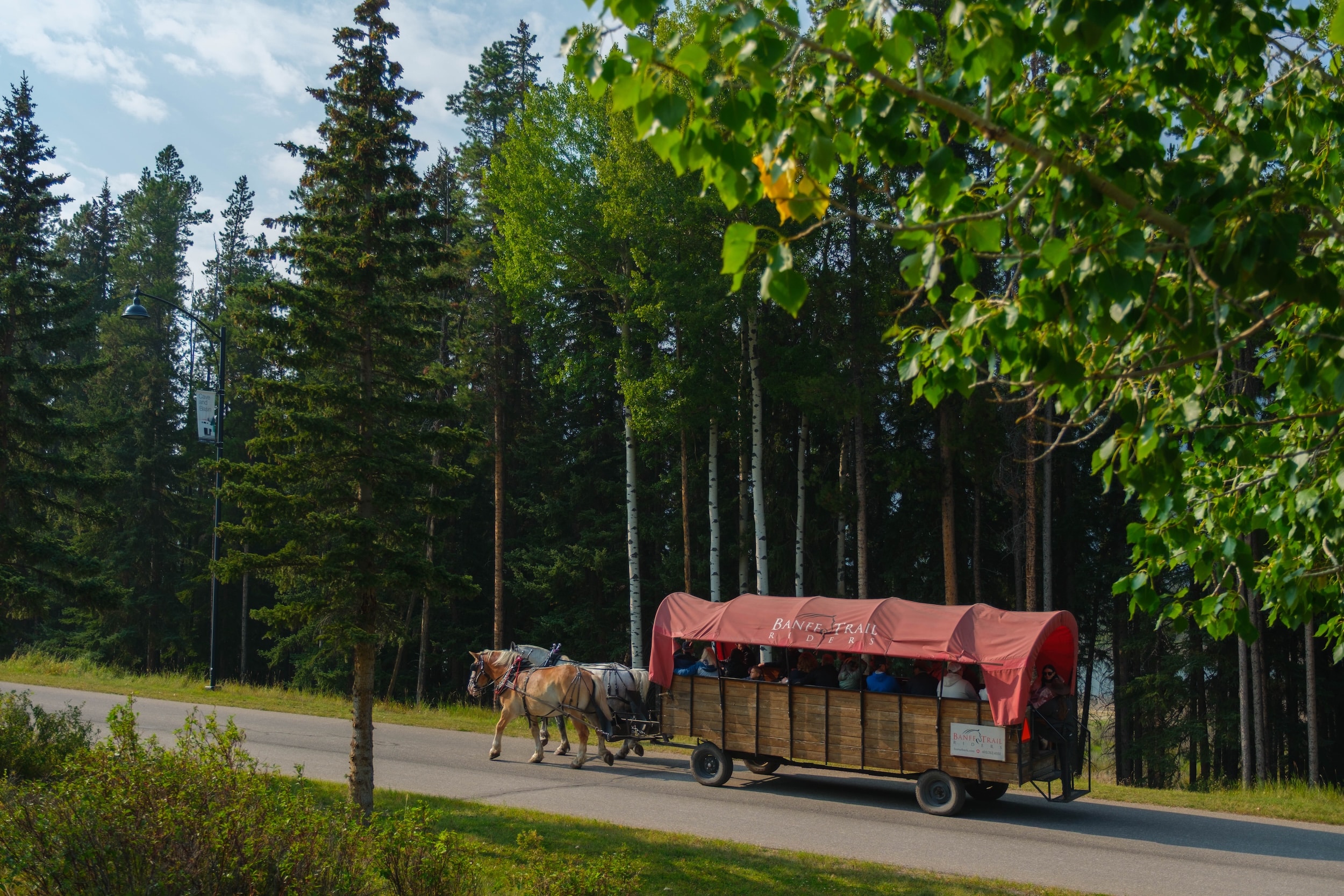 Banff Trail Ridges Carriage