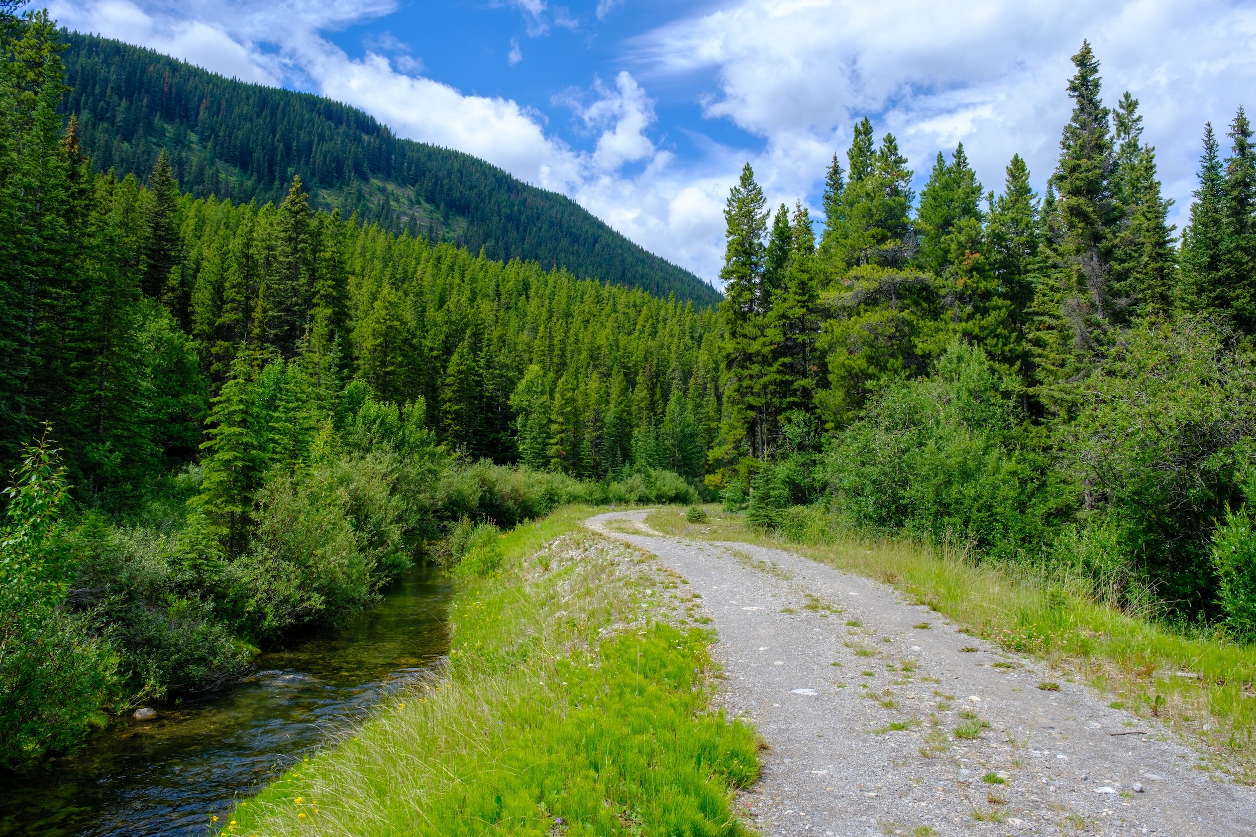 Access Road South Lawson Peak