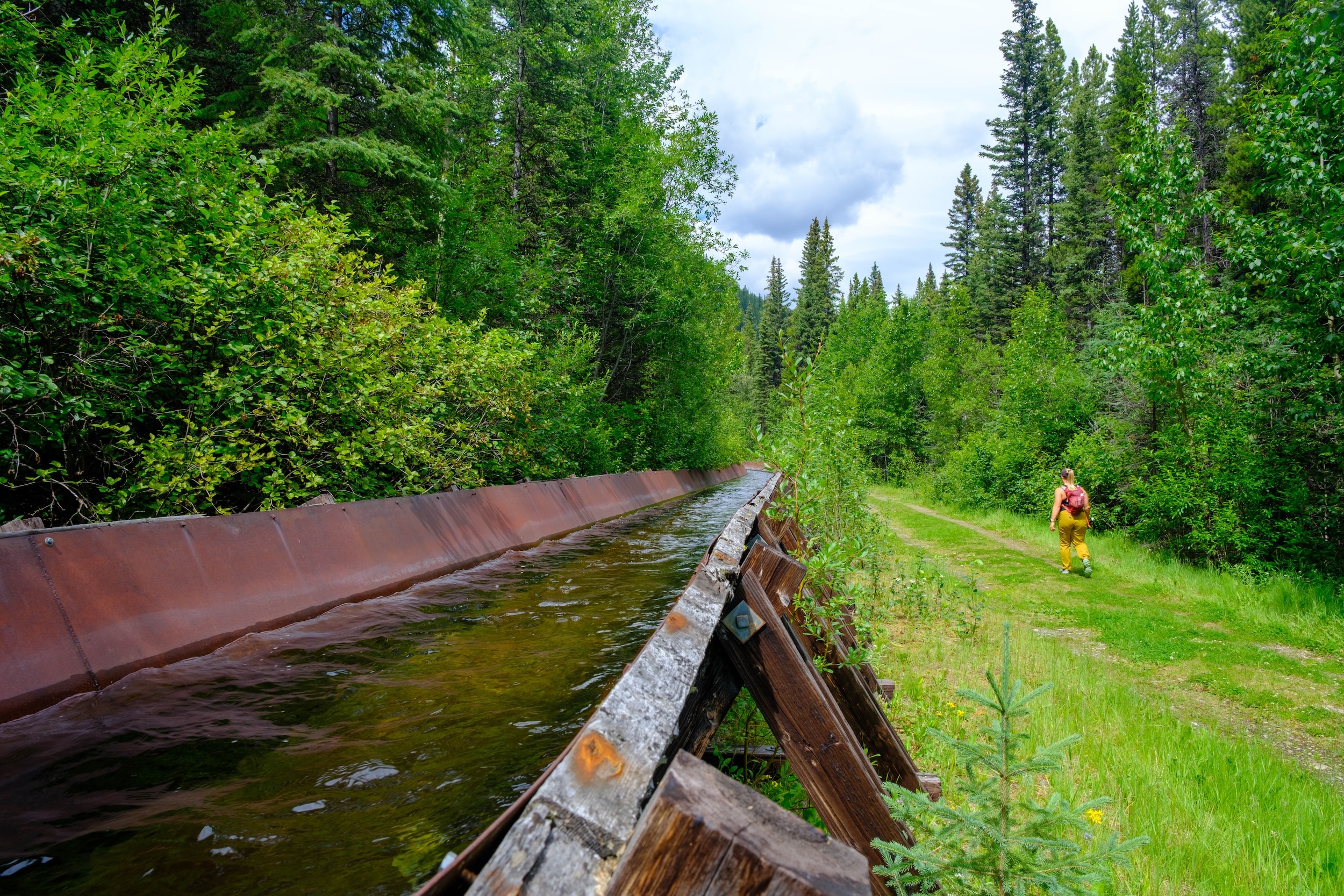 Flume along South Lawson Peak Trail