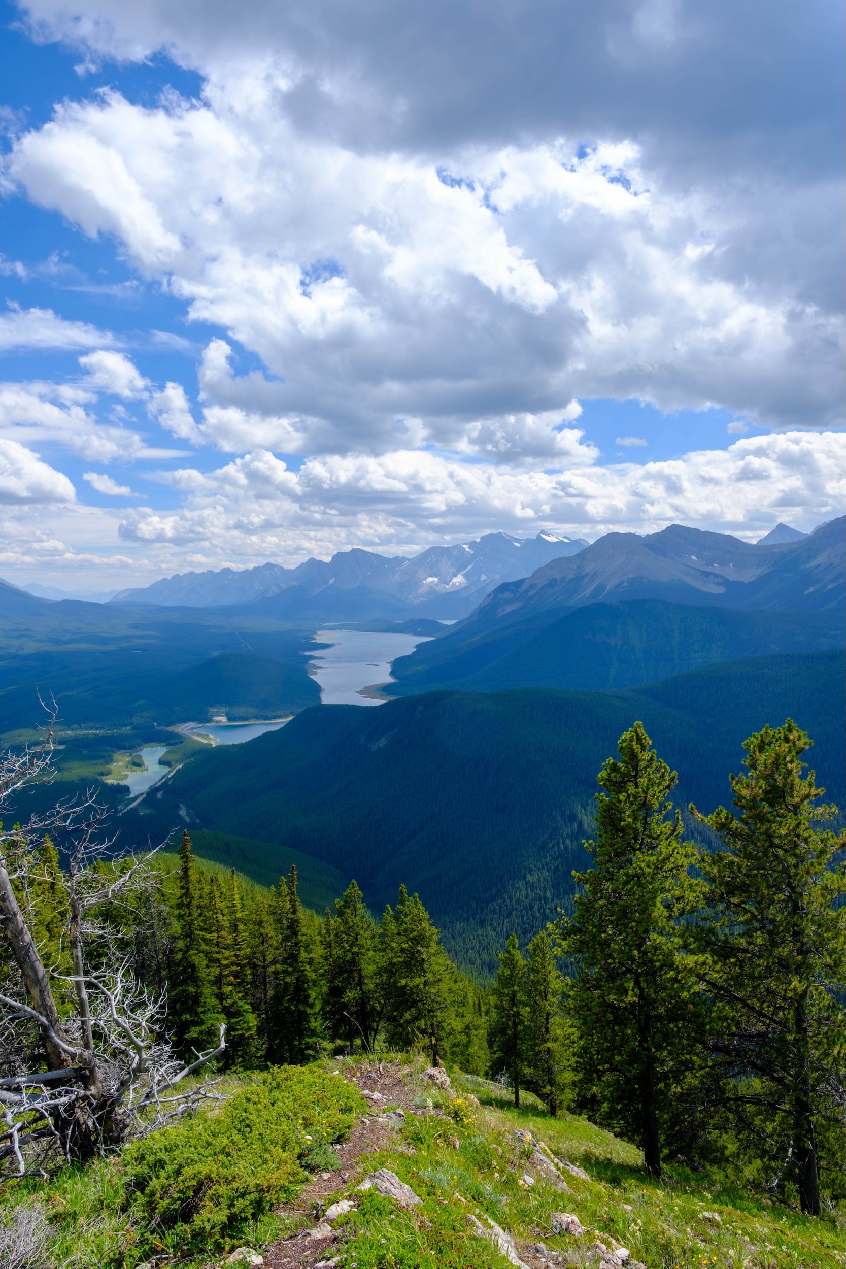 Steep Trail On South Lawson Peak