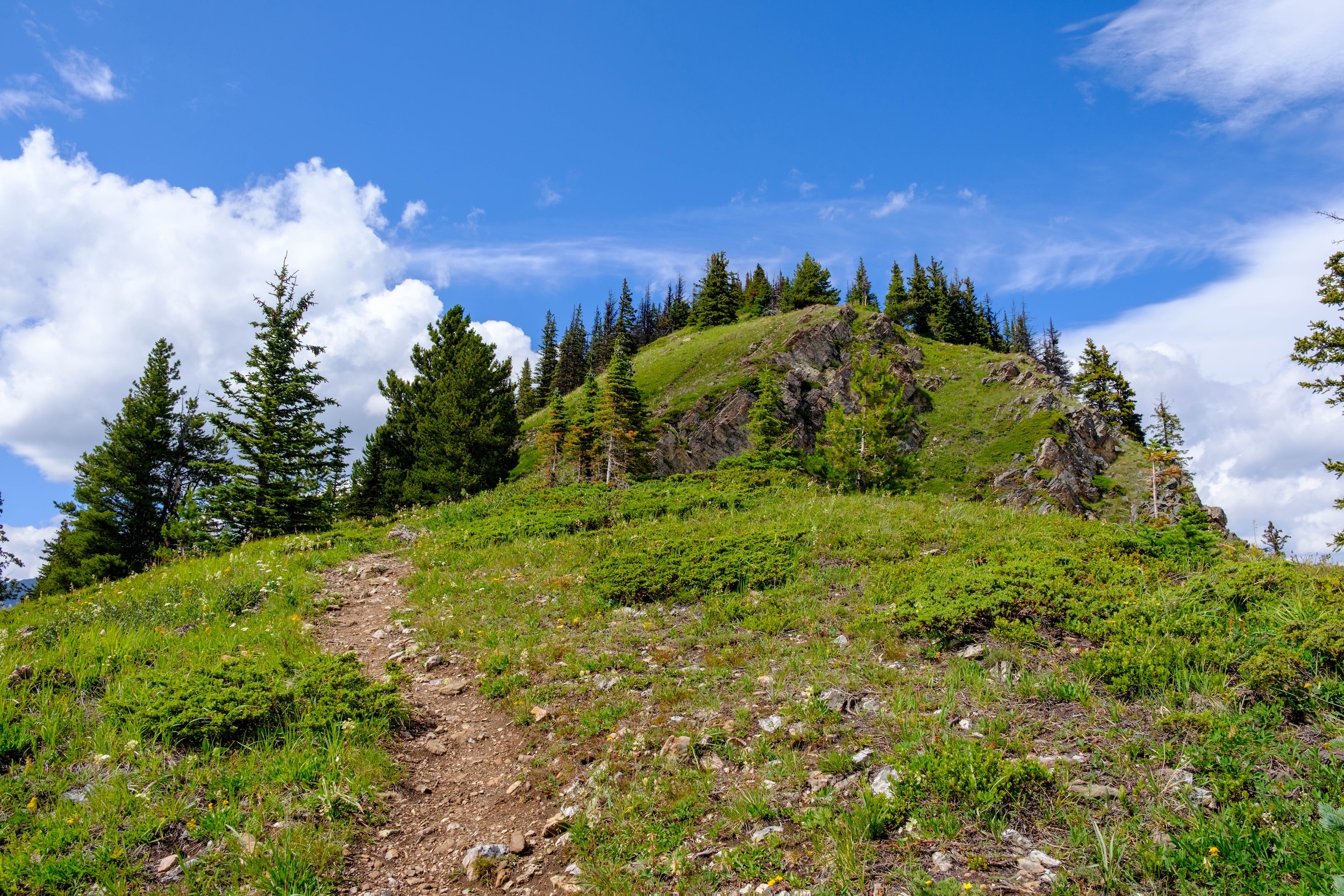 Near Top of South Lawson peak