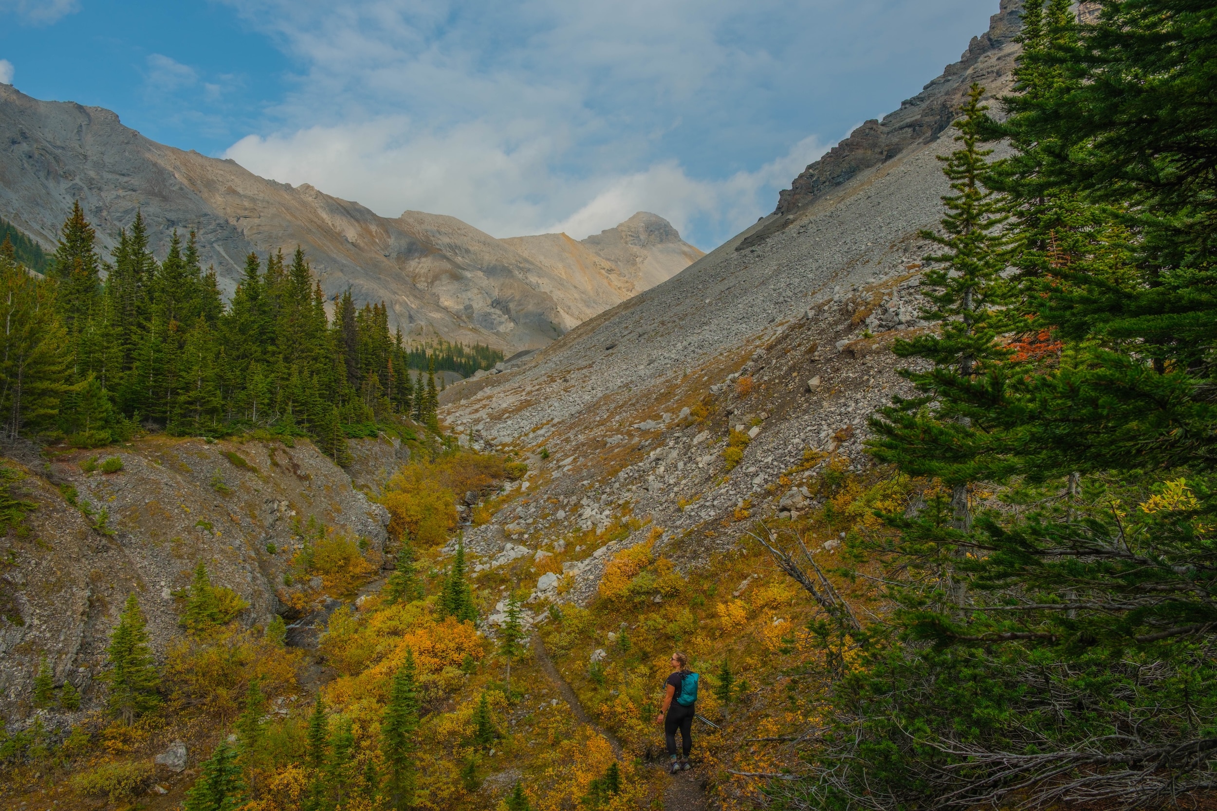 trail to North Buller Pass