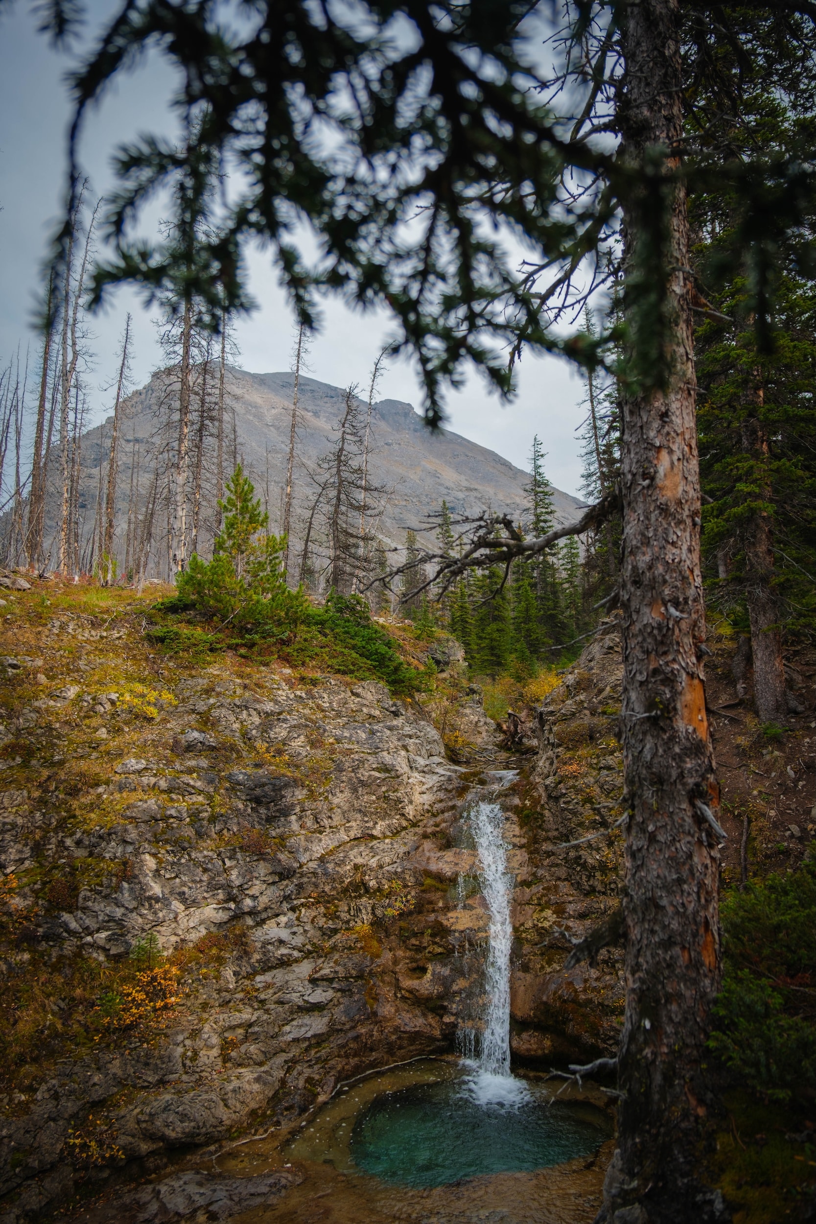 Waterfall and whirlpool on Buller Pass trail