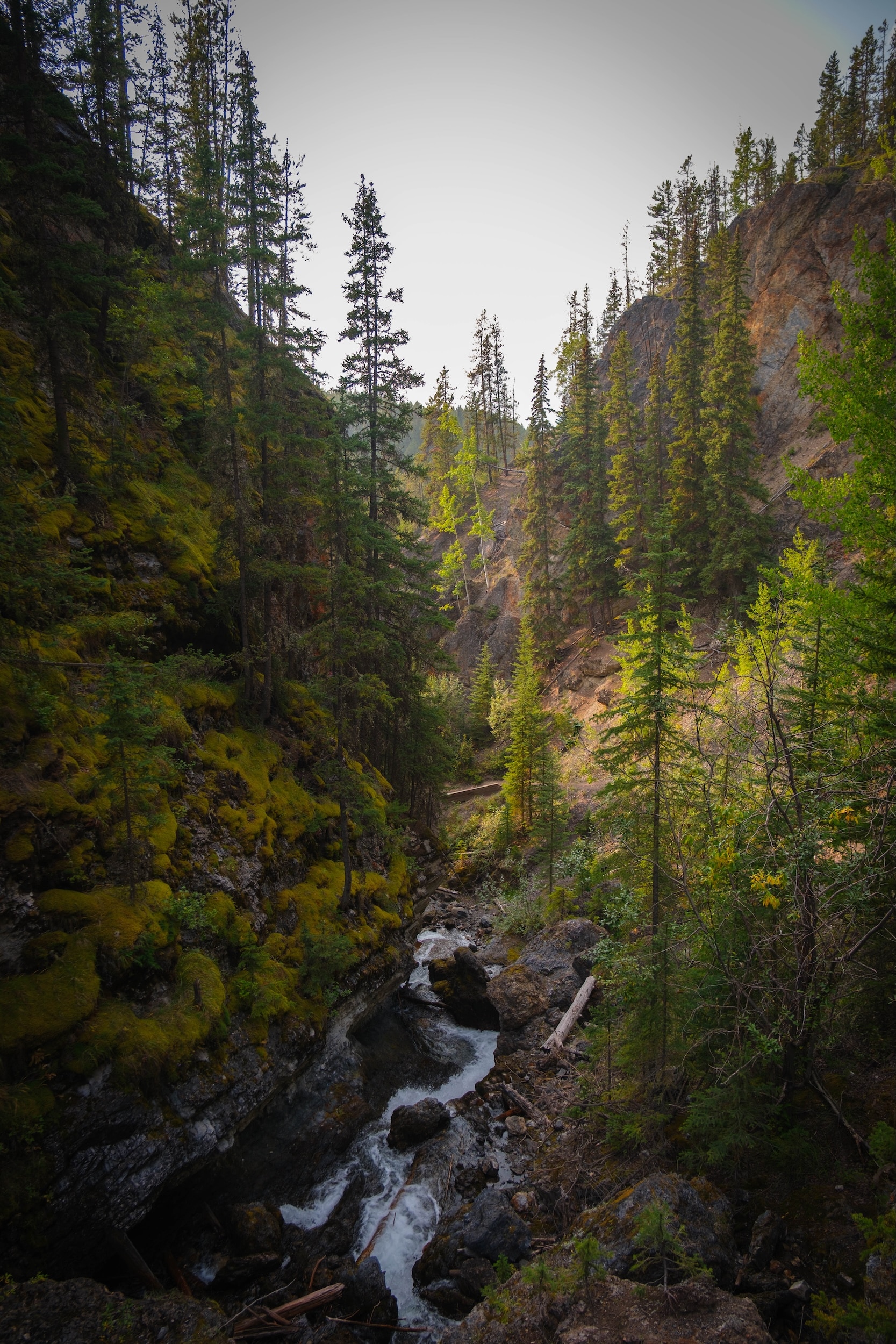 Sudance Canyon Bridge View