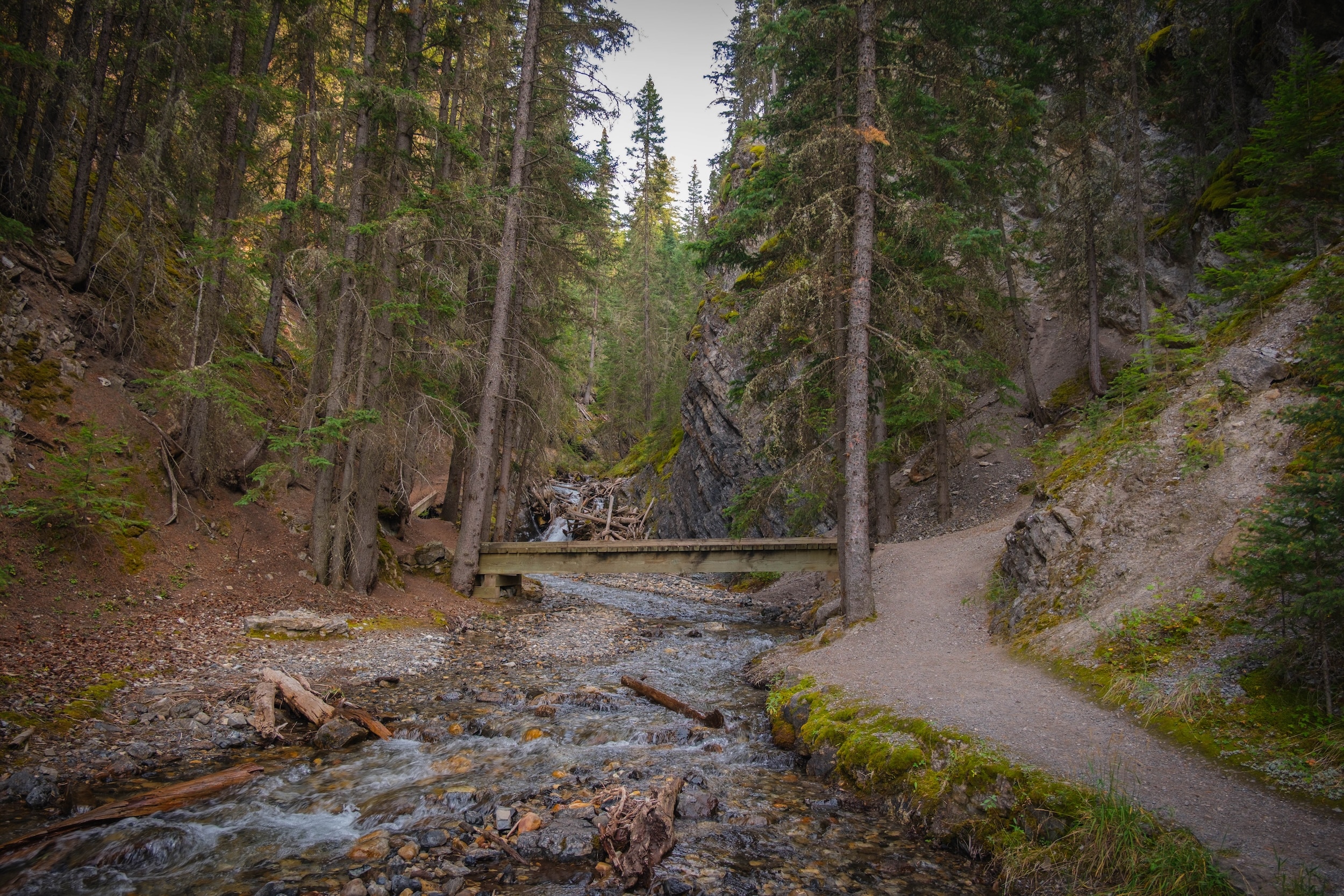 Upper Section of Sudance Canyon