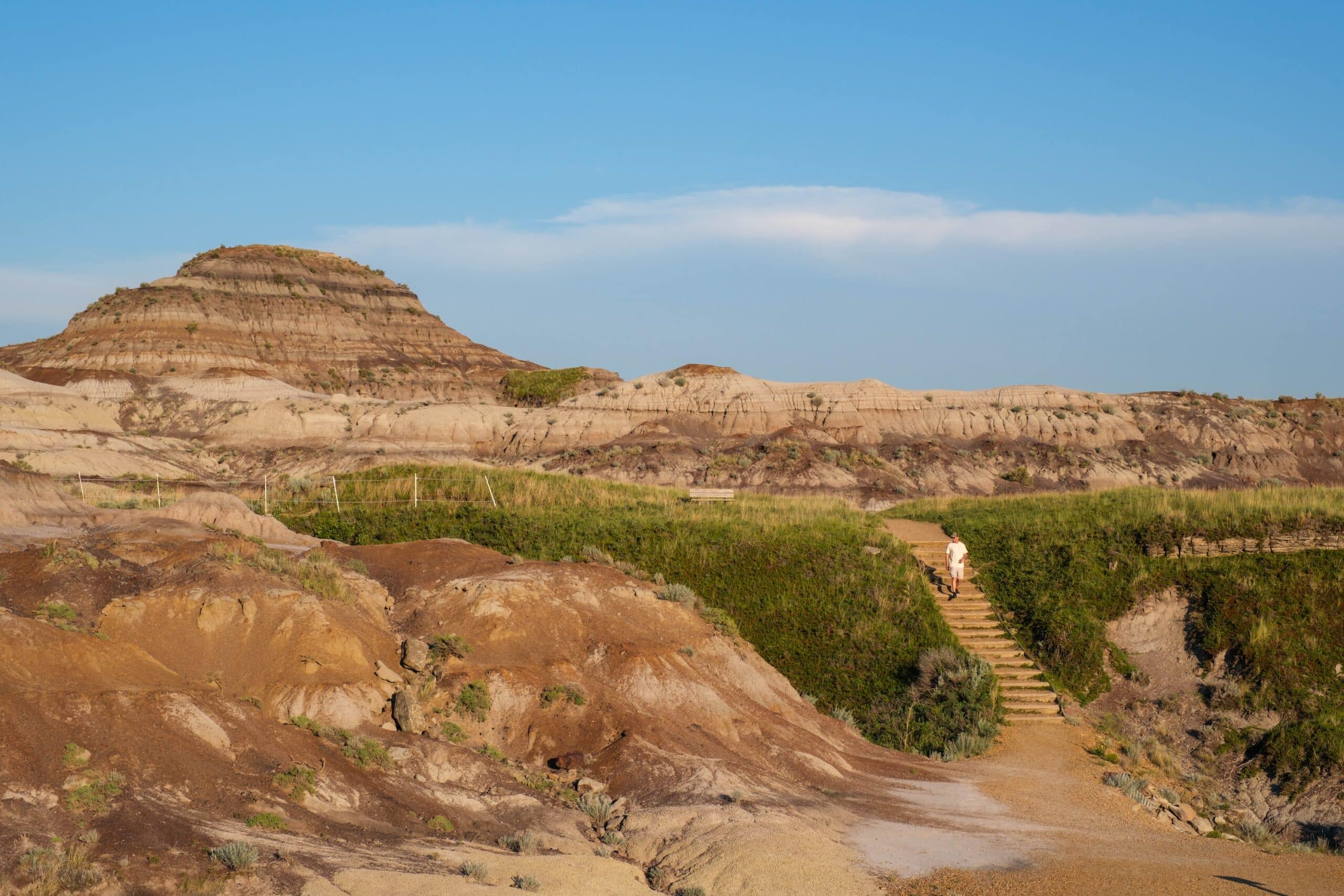 cameron in drumheller