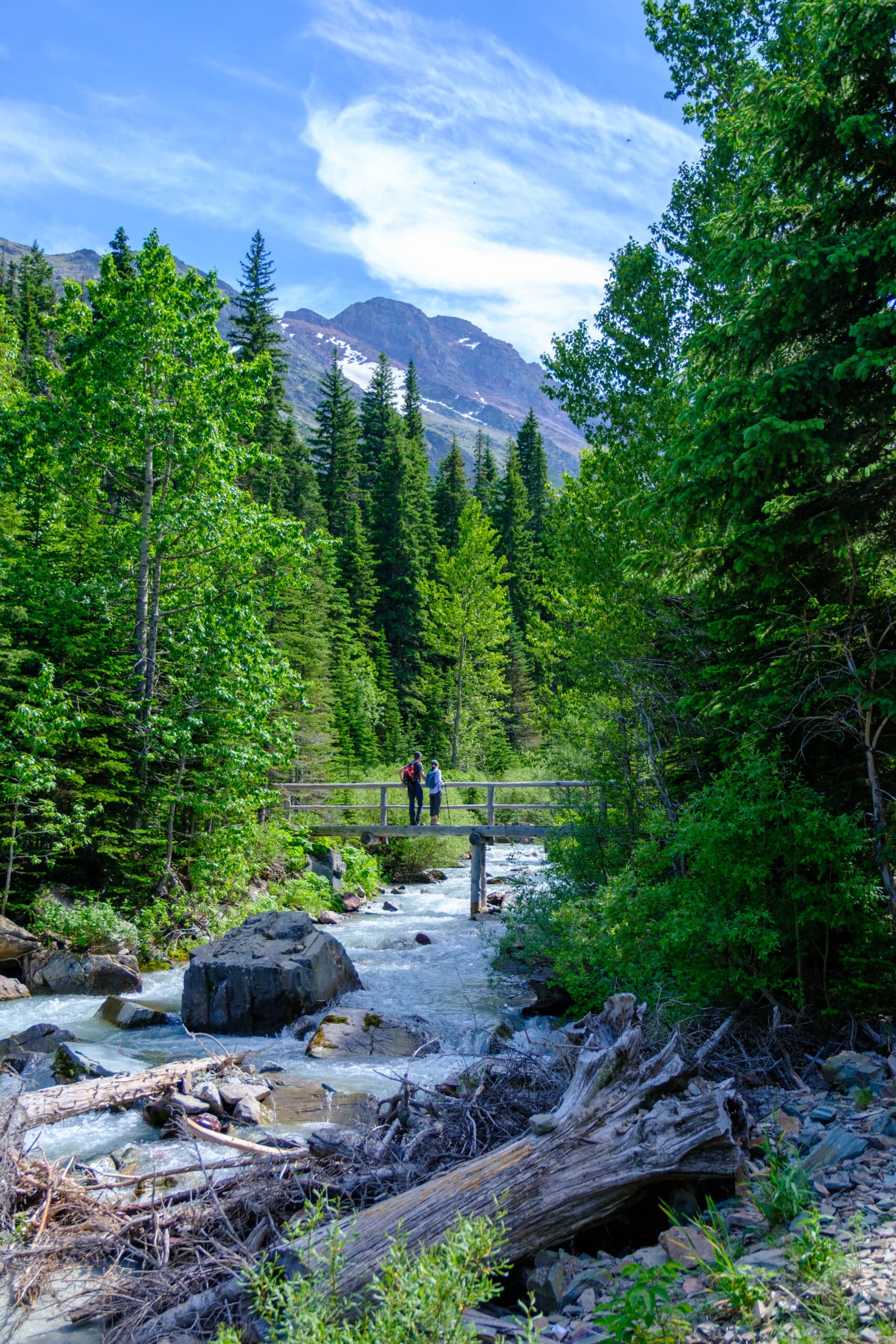 Cracker Lake Hike Glacier National Park